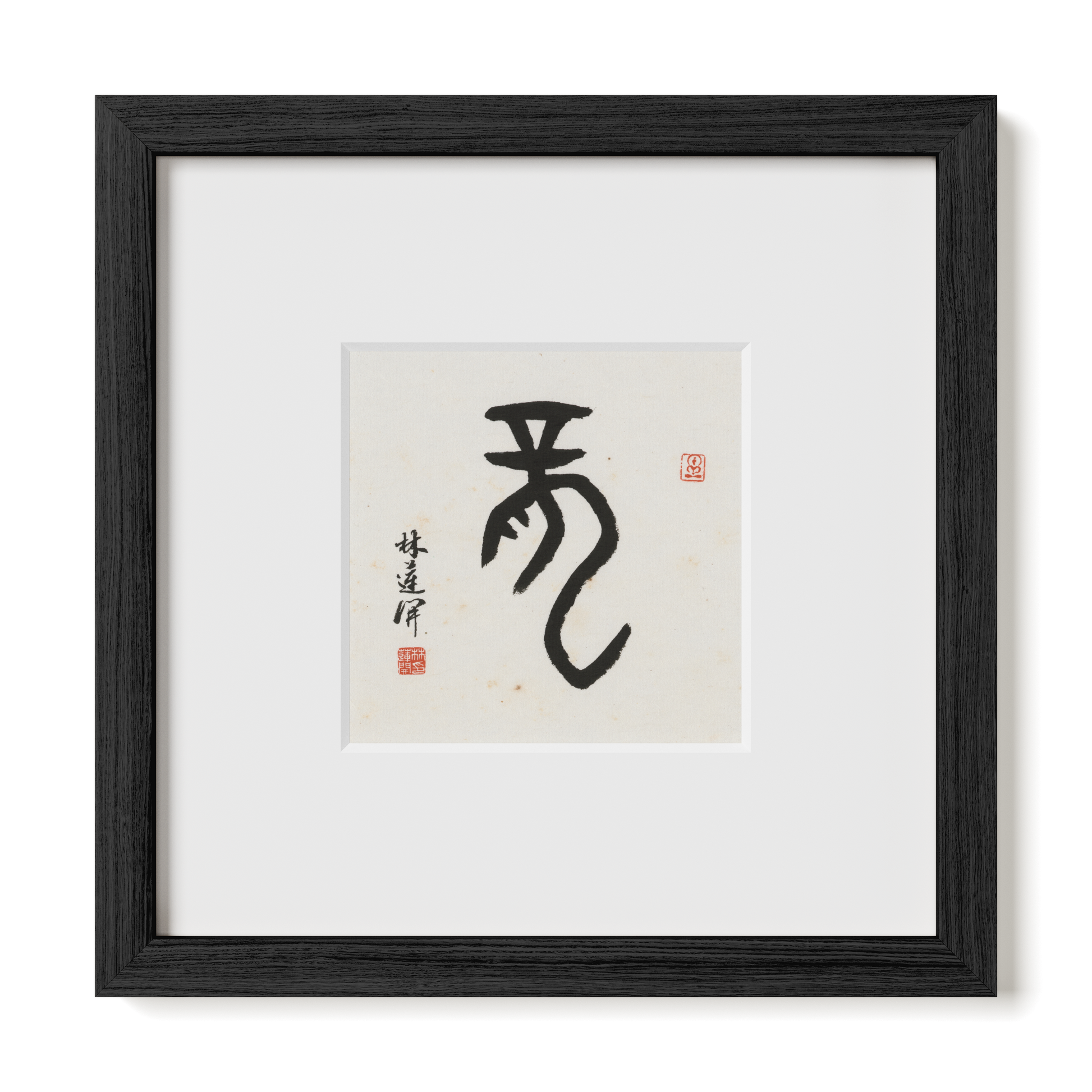 Thumbnail Label: 10X10" Black Premium Oak | Gallery Source: Transparent