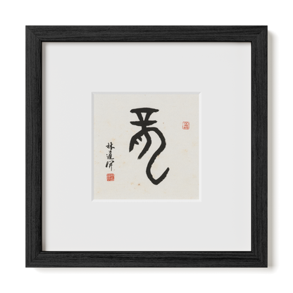 Thumbnail Label: 10X10" Black Premium Oak | Gallery Source: Transparent