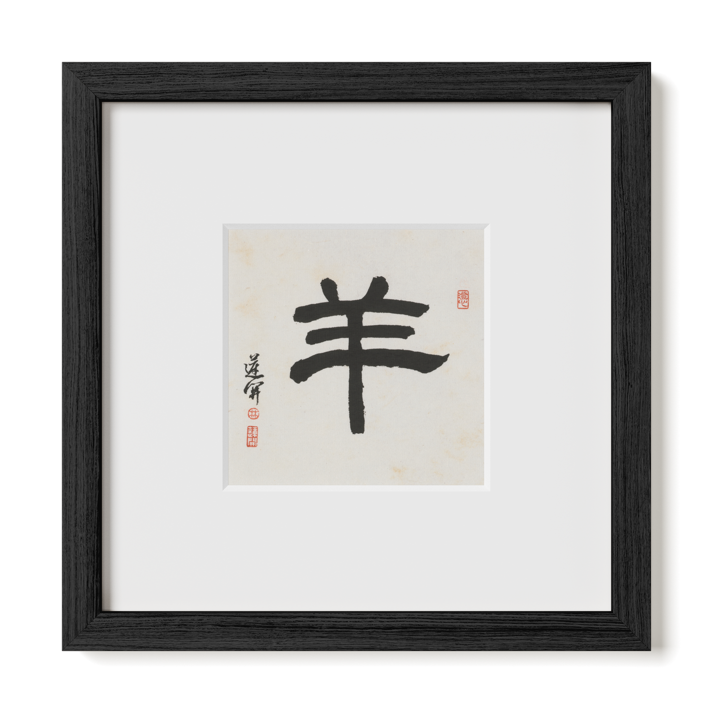 Thumbnail Label: 10X10" Black Premium Oak | Gallery Source: Transparent