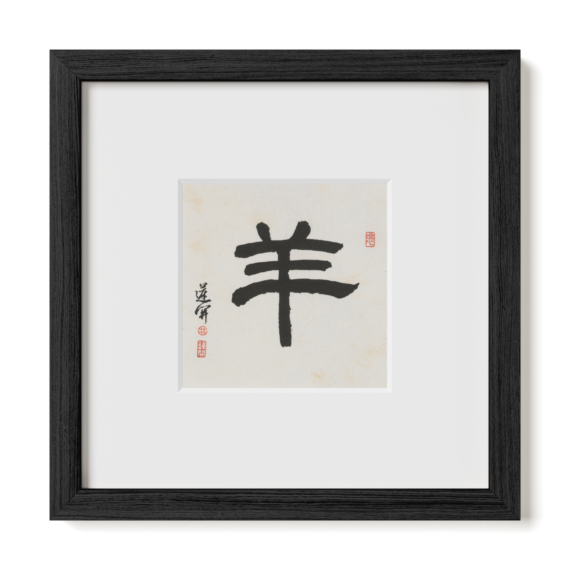 Thumbnail Label: 10X10" Black Premium Oak | Gallery Source: Transparent