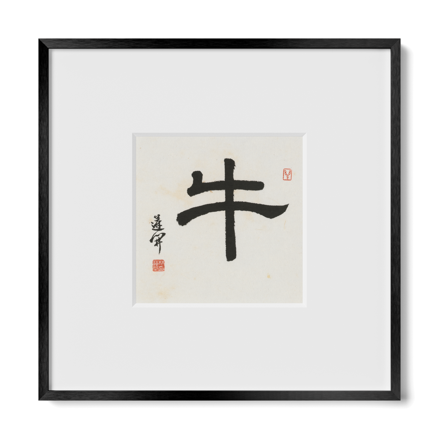 Thumbnail Label: 10X10" Black Premium Metal | Gallery Source: Transparent