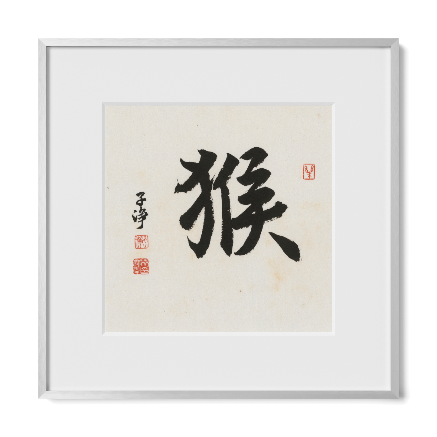 Thumbnail Label: 12X12" Silver Premium Metal | Gallery Source: Transparent