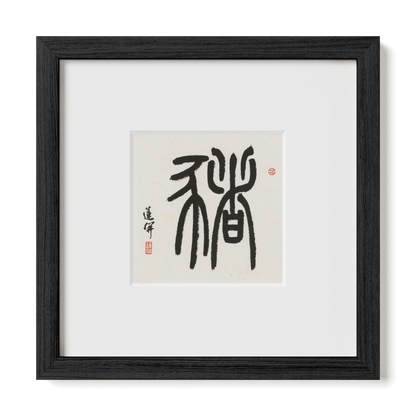 Thumbnail Label: 10X10" Black Premium Oak | Gallery Source: Transparent