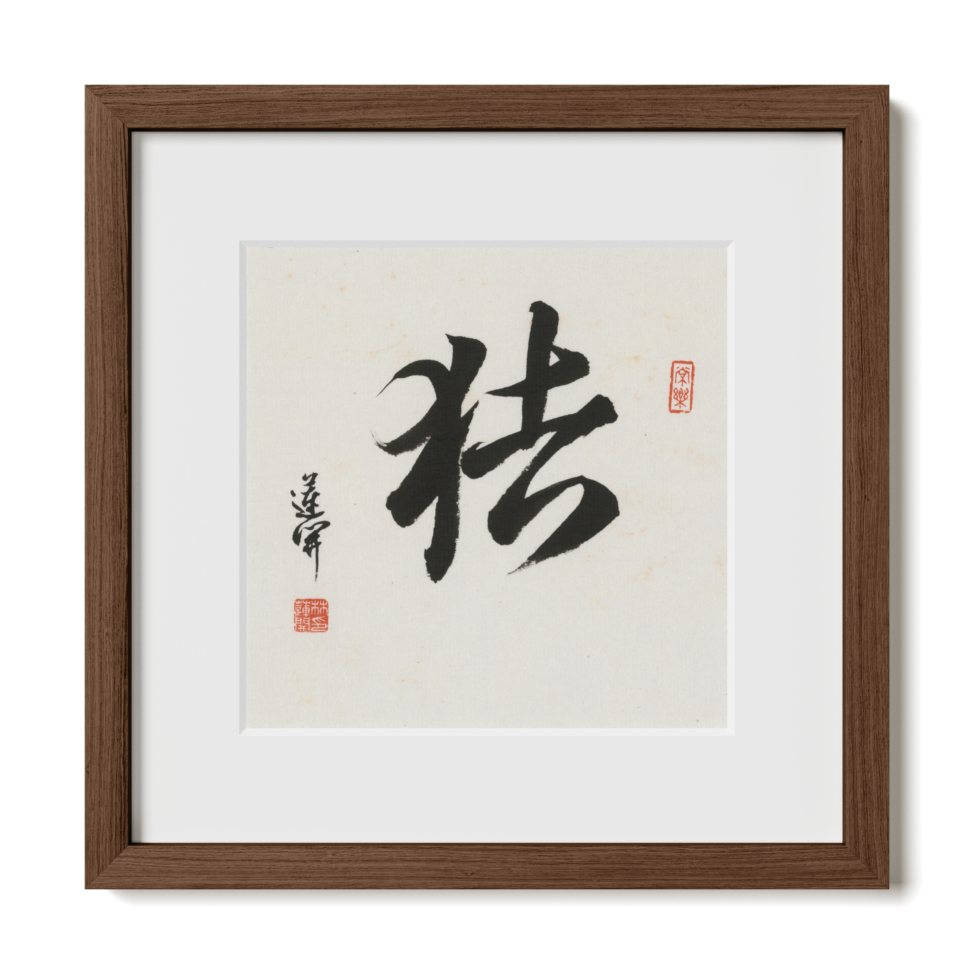 Thumbnail Label: 12X12" Walnut Premium Oak | Gallery Source: Transparent