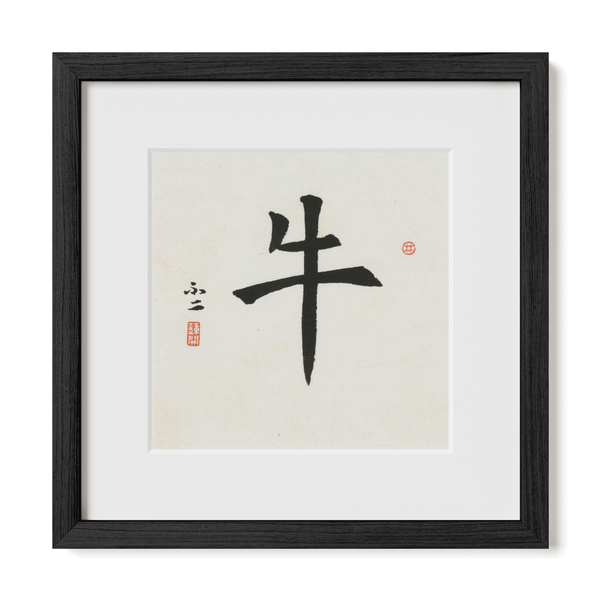 Thumbnail Label: 12X12" Black Premium Oak | Gallery Source: Transparent