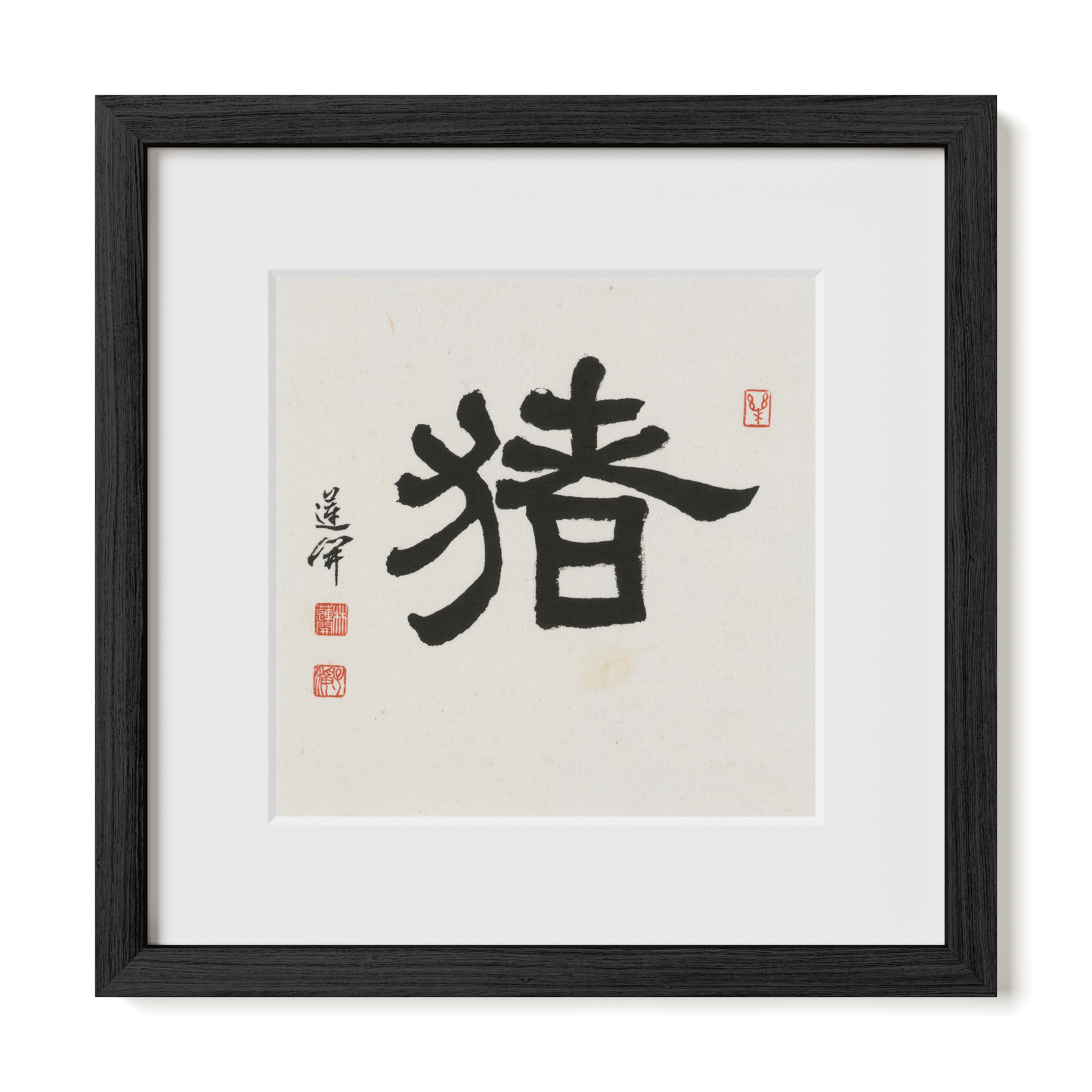 Thumbnail Label: 12X12" Black Premium Oak | Gallery Source: Transparent