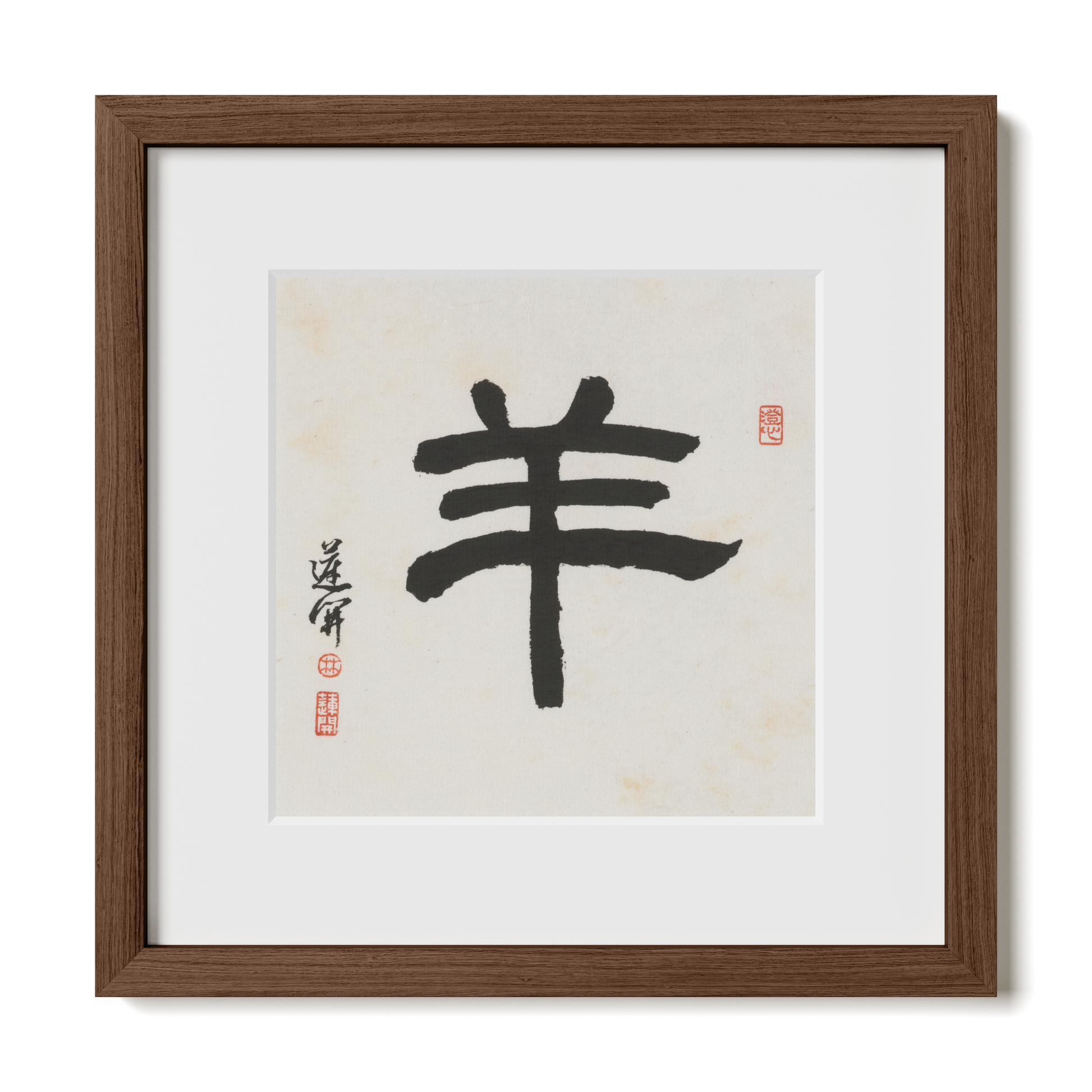 Thumbnail Label: 12X12" Walnut Premium Oak | Gallery Source: Transparent