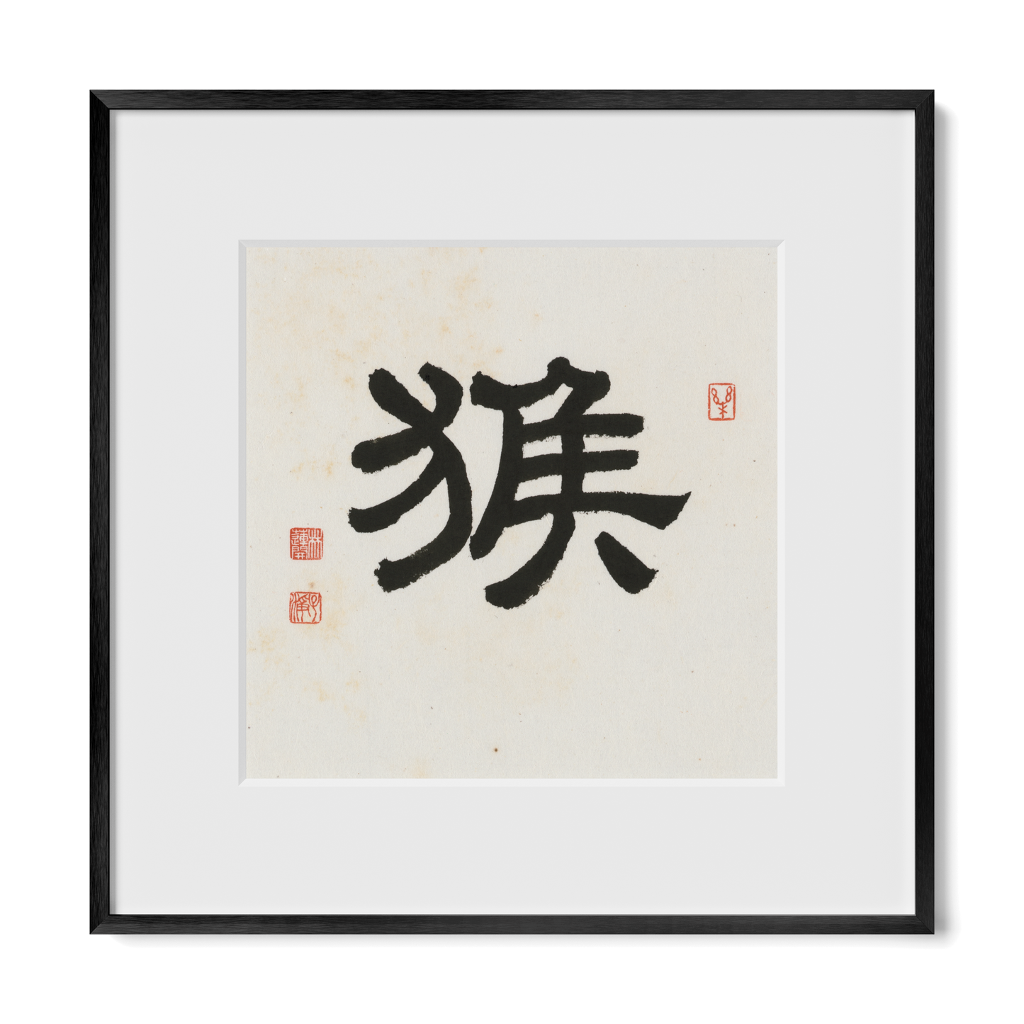 Thumbnail Label: 12X12" Black Premium Metal | Gallery Source: Transparent
