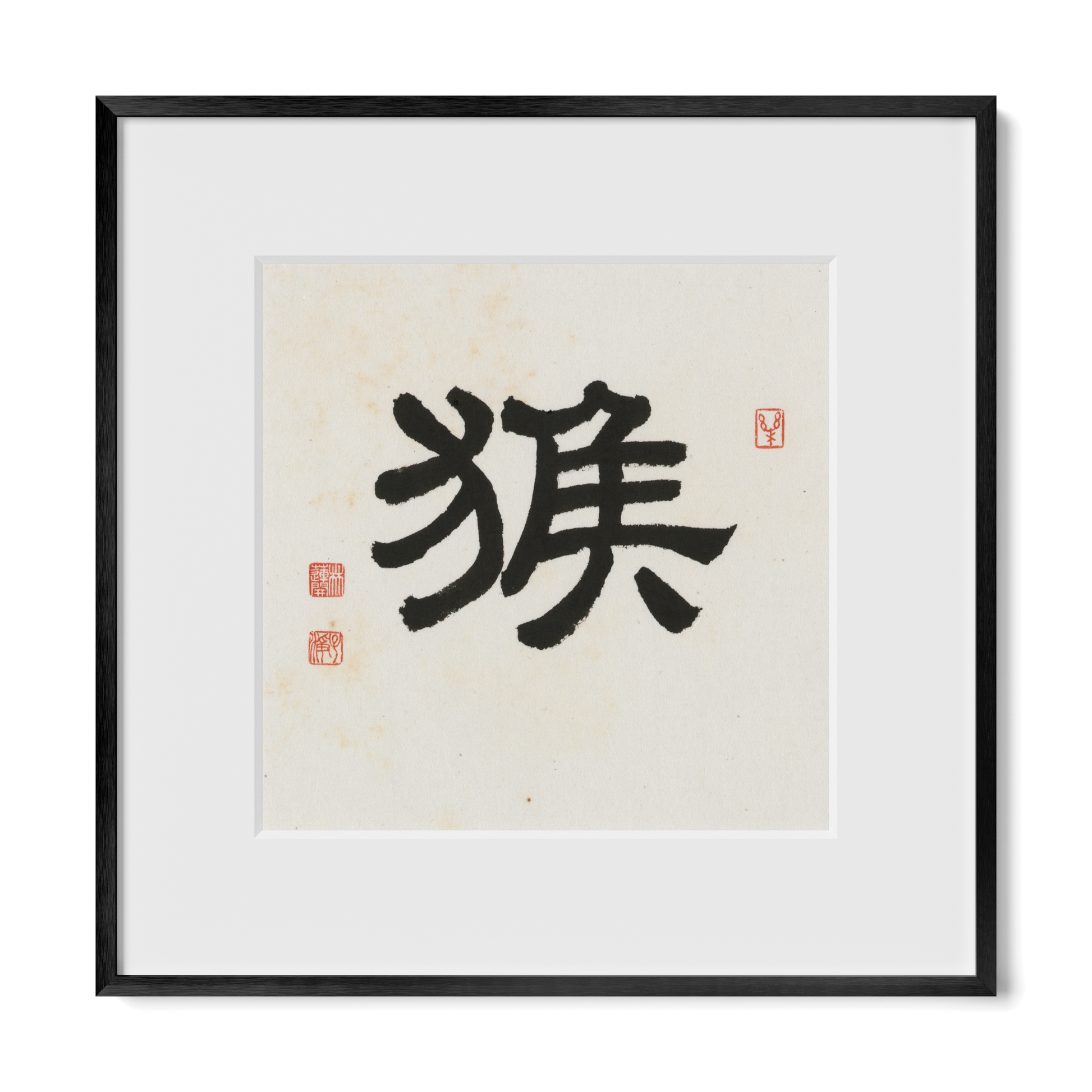 Thumbnail Label: 12X12" Black Premium Metal | Gallery Source: Transparent