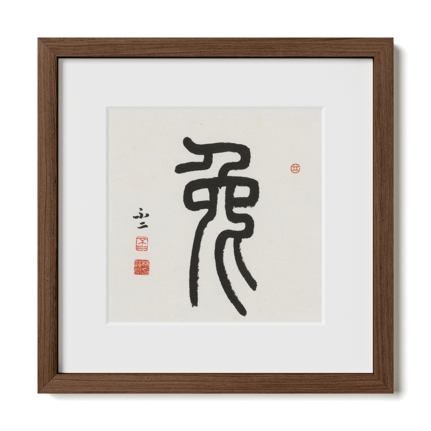 Thumbnail Label: 12X12" Walnut Premium Oak | Gallery Source: Transparent