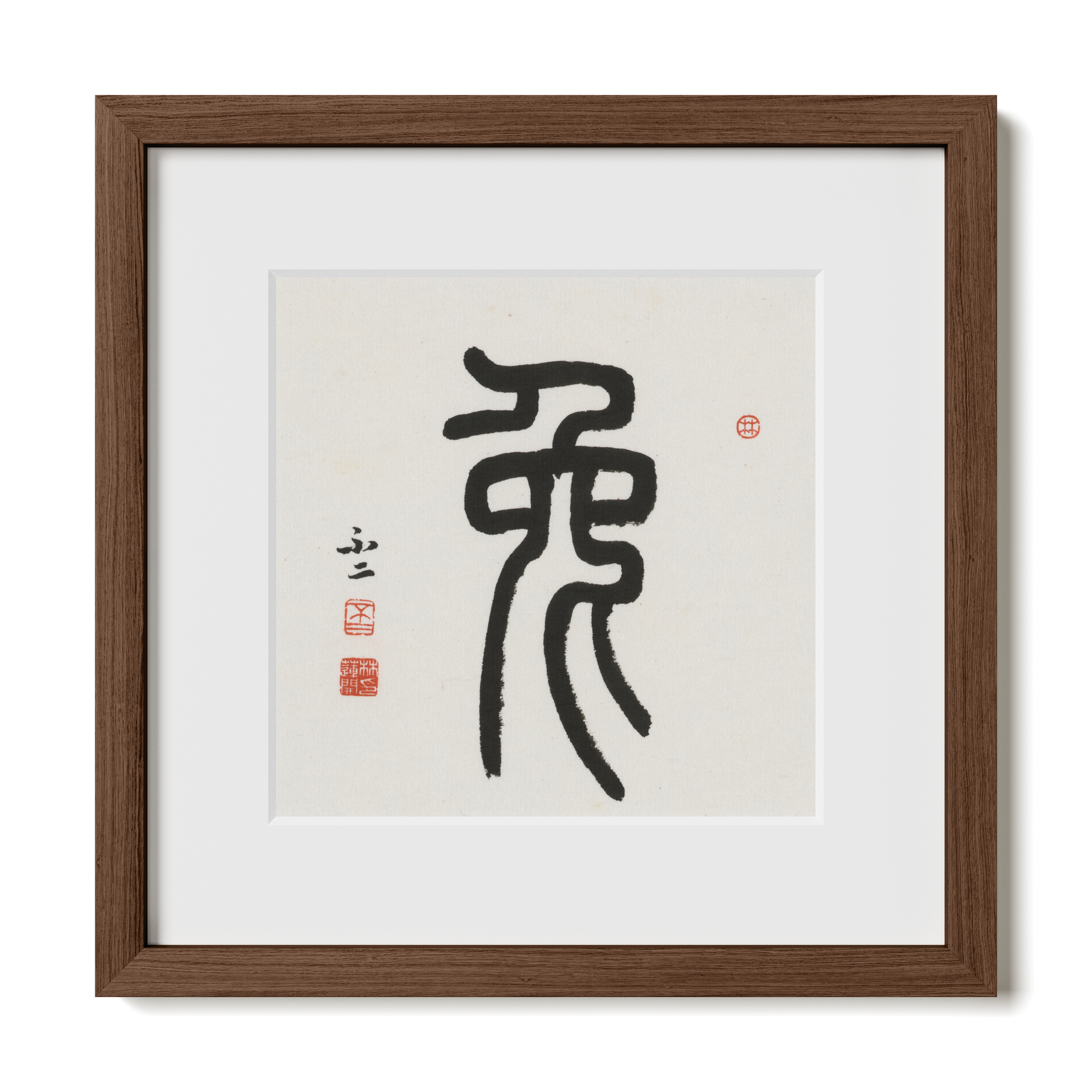 Thumbnail Label: 12X12" Walnut Premium Oak | Gallery Source: Transparent