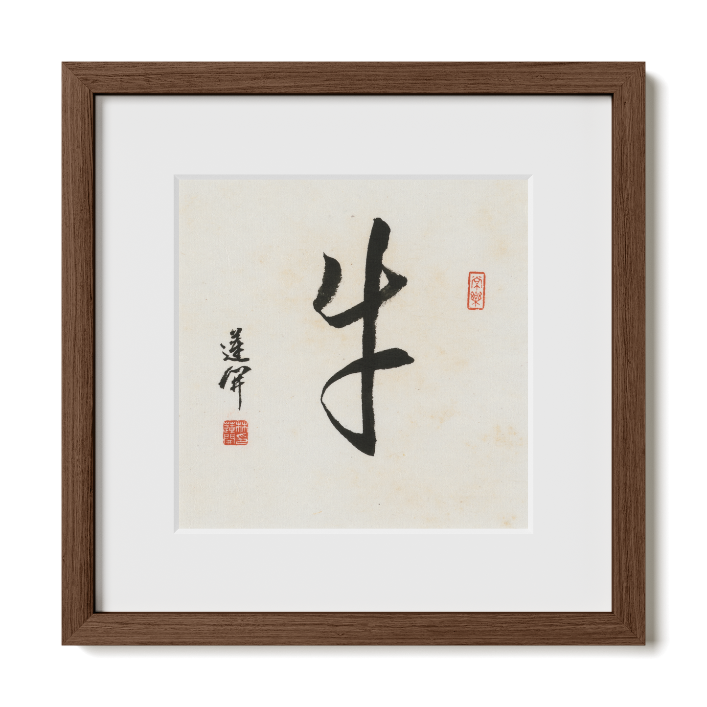 Thumbnail Label: 12X12" Walnut Premium Oak | Gallery Source: Transparent