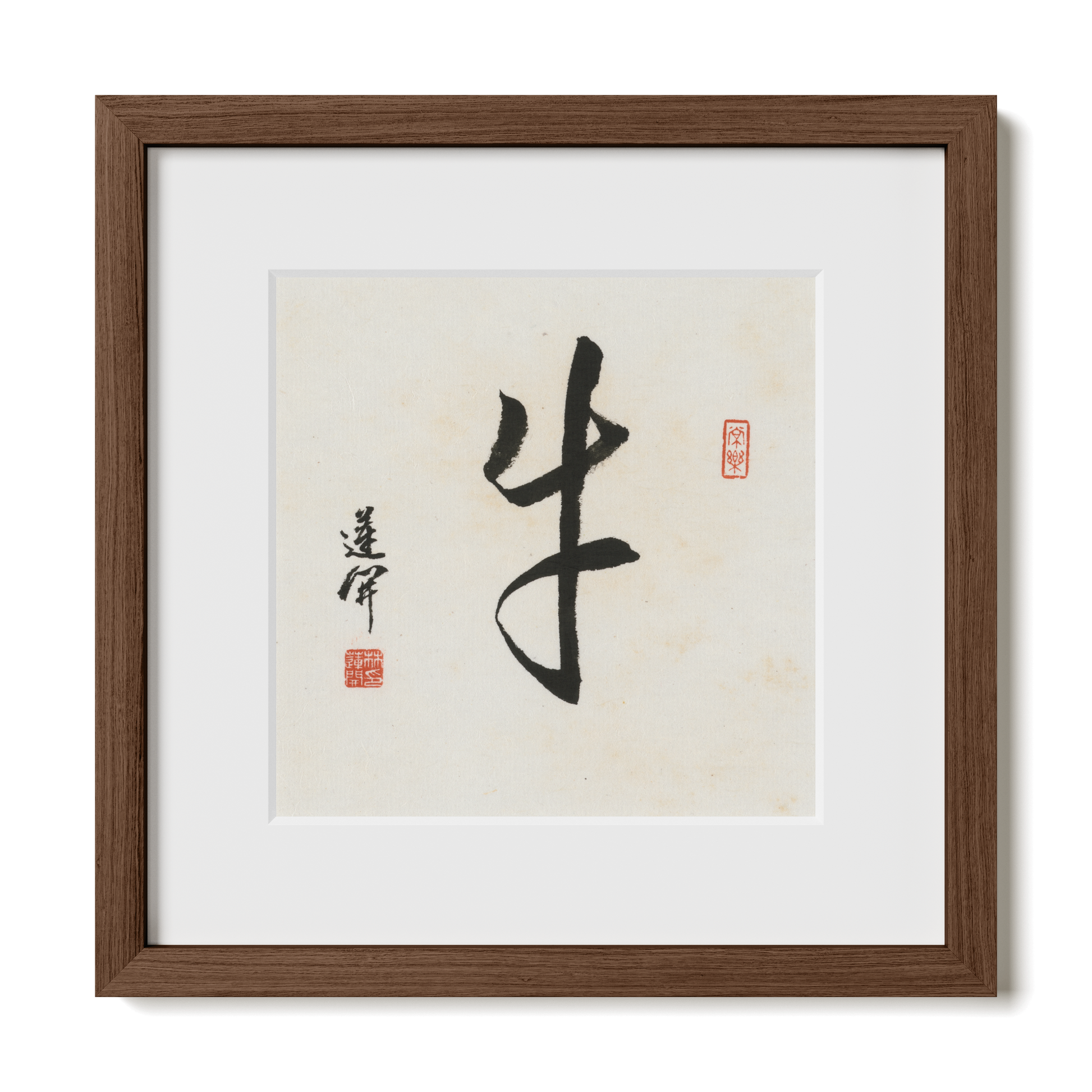 Thumbnail Label: 12X12" Walnut Premium Oak | Gallery Source: Transparent