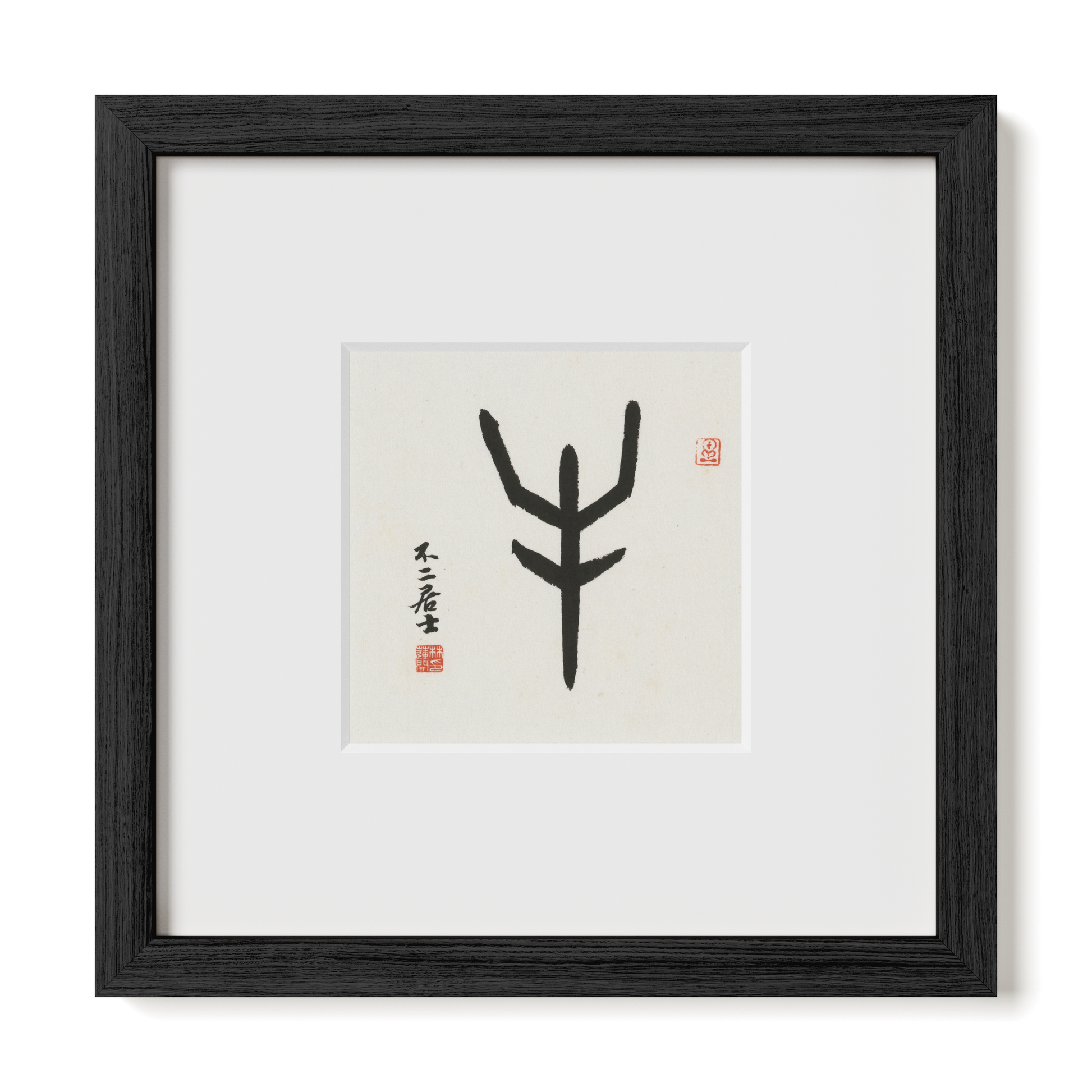 Thumbnail Label: 10X10" Black Premium Oak | Gallery Source: Transparent