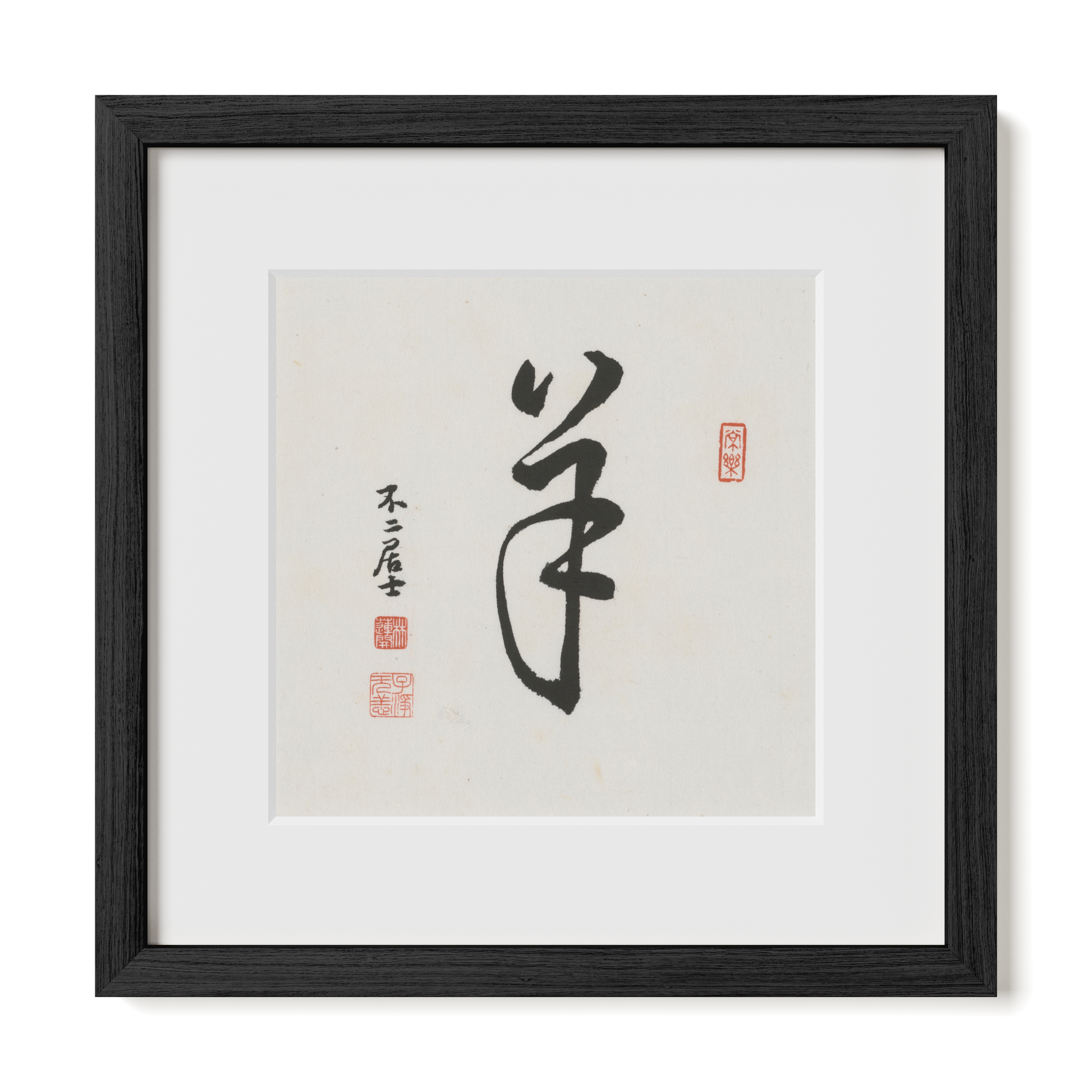 Thumbnail Label: 12X12" Black Premium Oak | Gallery Source: Transparent