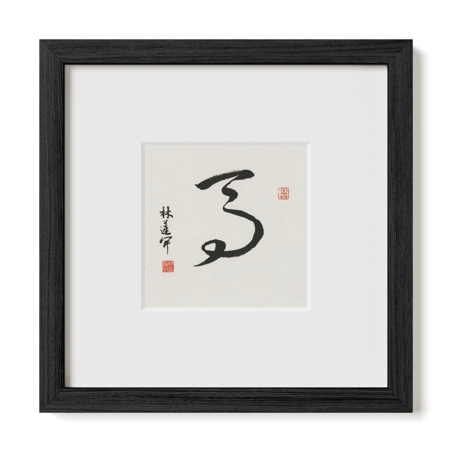 Thumbnail Label: 10X10" Black Premium Oak | Gallery Source: Transparent