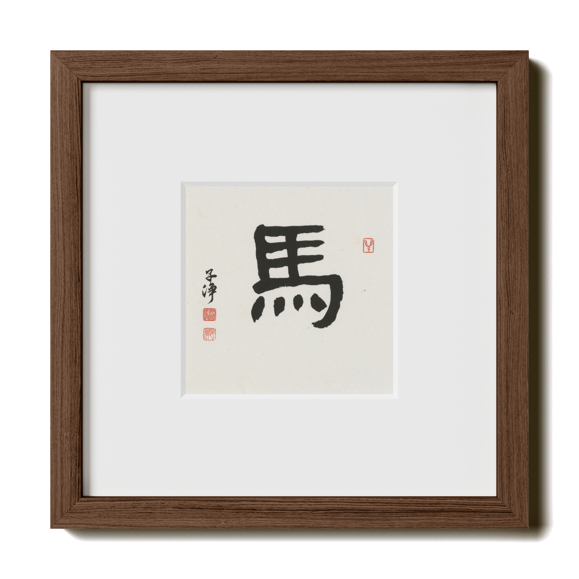 Thumbnail Label: 10X10" Walnut Premium Oak | Gallery Source: Transparent