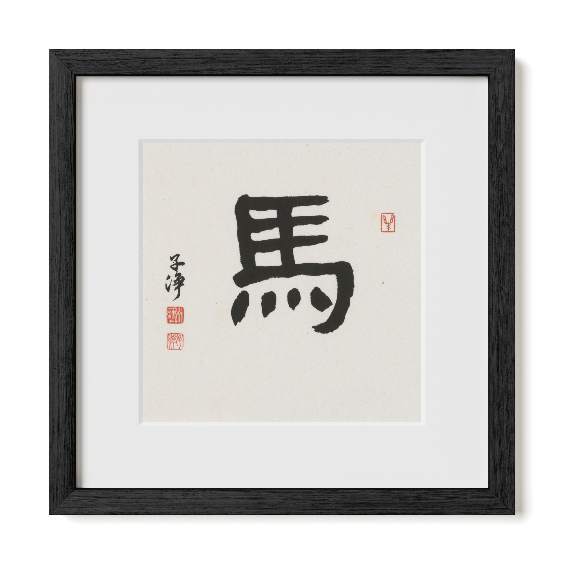 Thumbnail Label: 12X12" Black Premium Oak | Gallery Source: Transparent