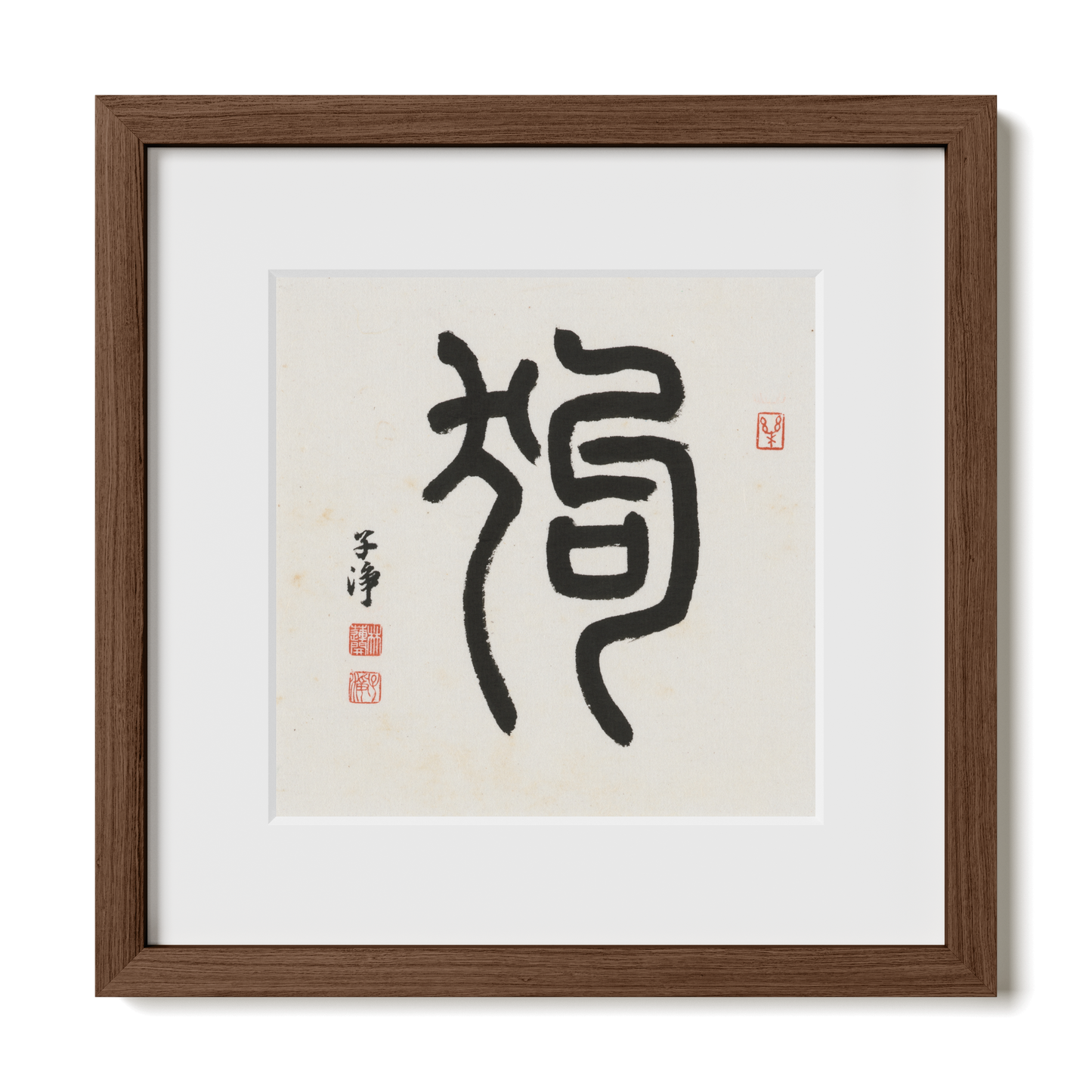 Thumbnail Label: 12X12" Walnut Premium Oak | Gallery Source: Transparent