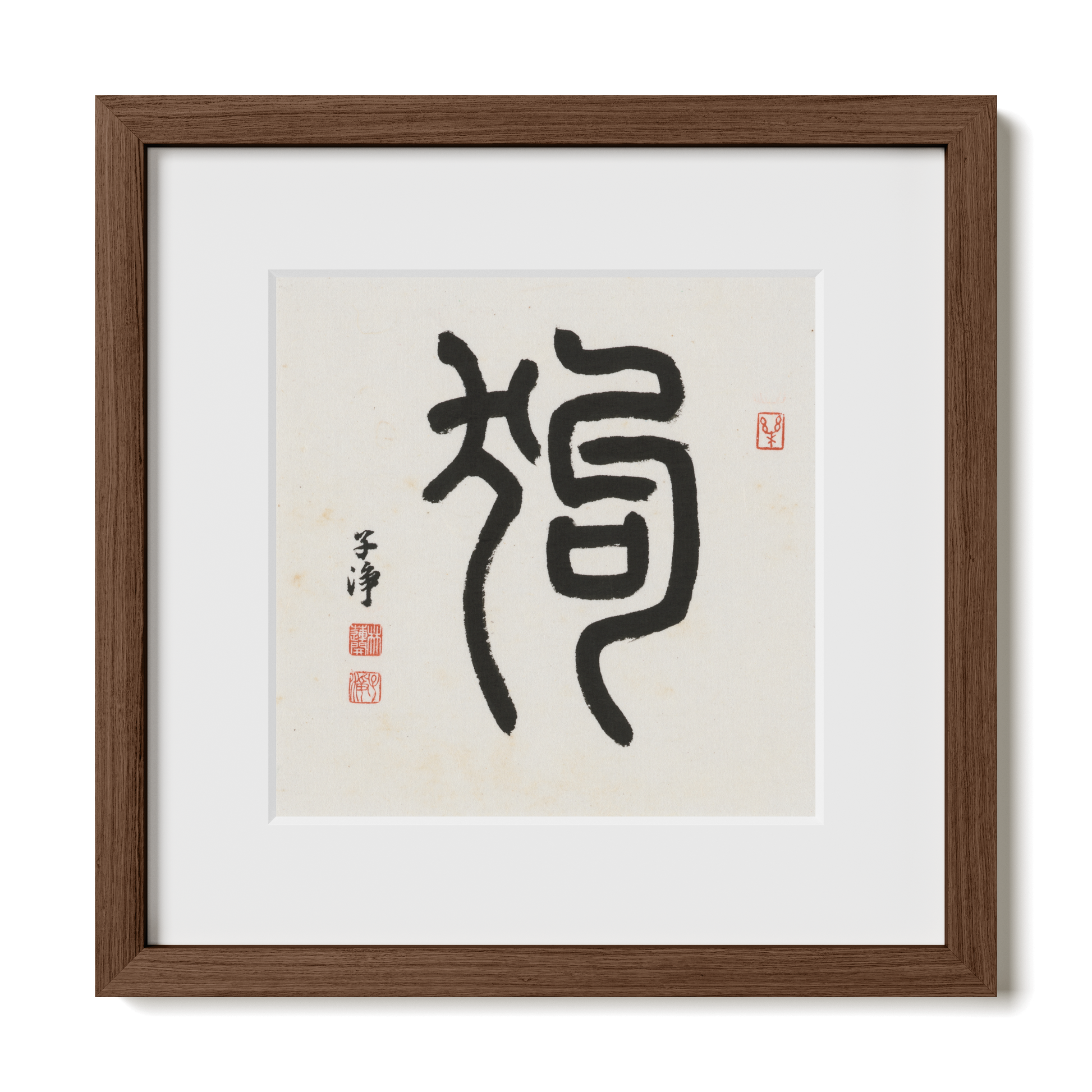 Thumbnail Label: 12X12" Walnut Premium Oak | Gallery Source: Transparent