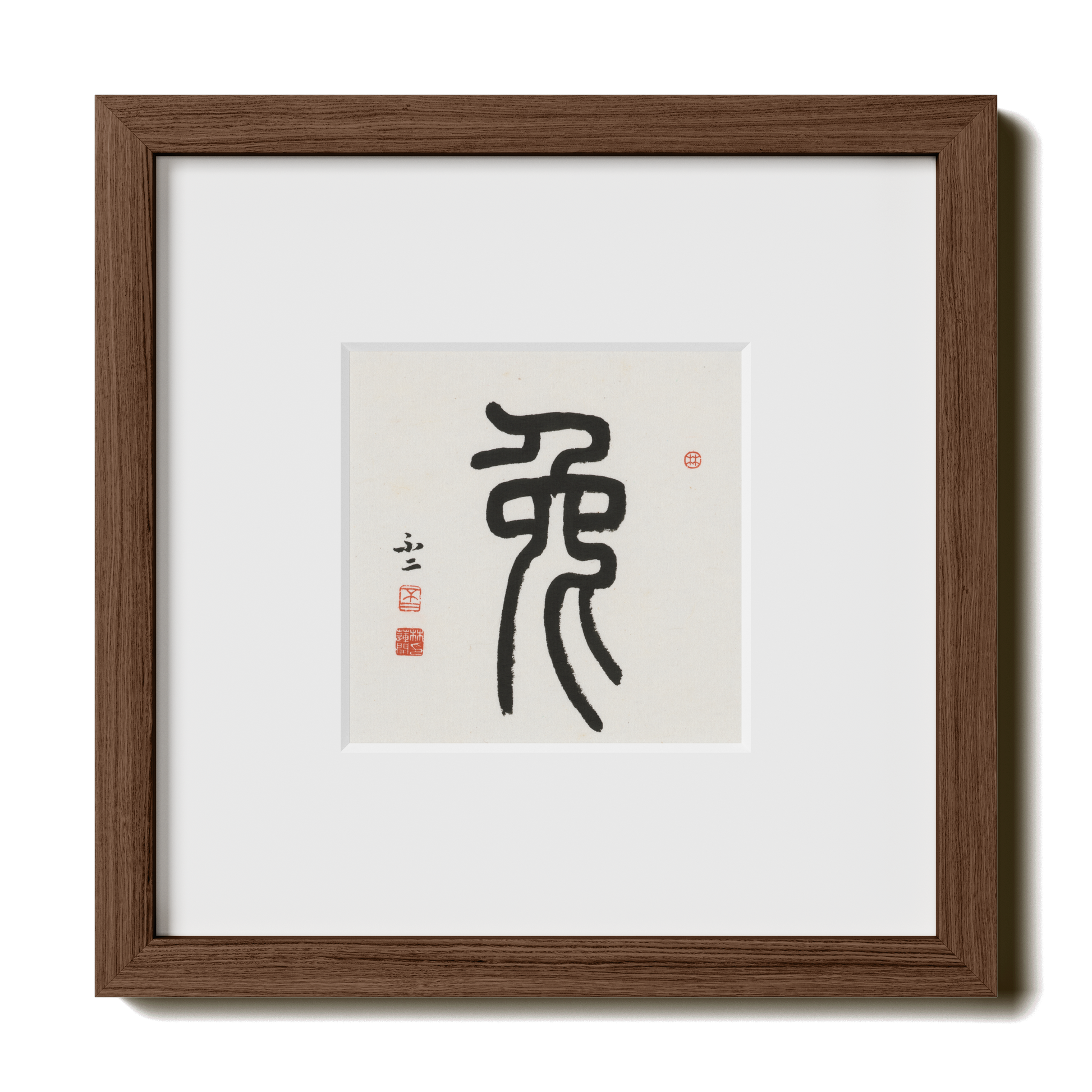Thumbnail Label: 10X10" Walnut Premium Oak | Gallery Source: Transparent
