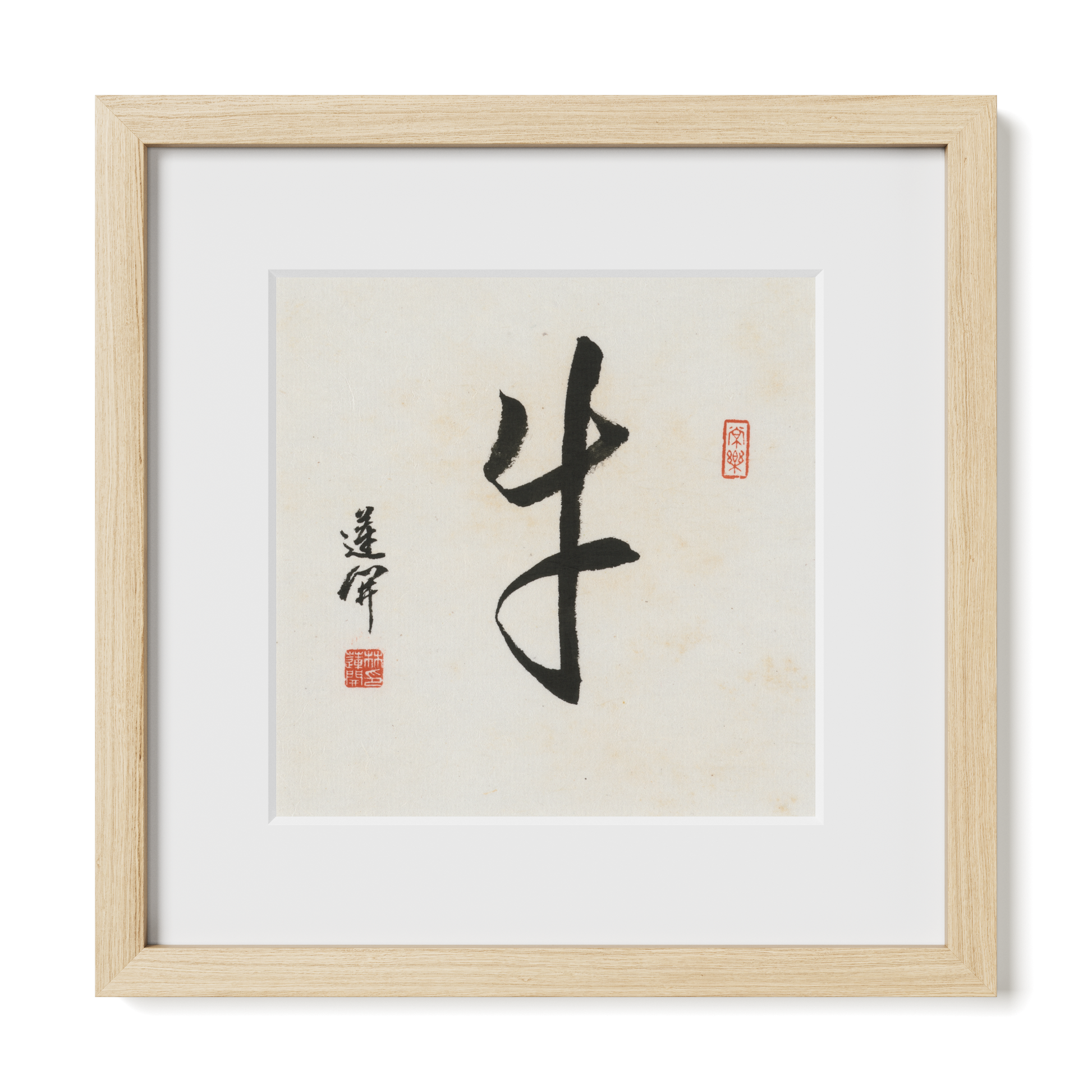 Thumbnail Label: 12X12" Natural Premium Oak | Gallery Source: Transparent