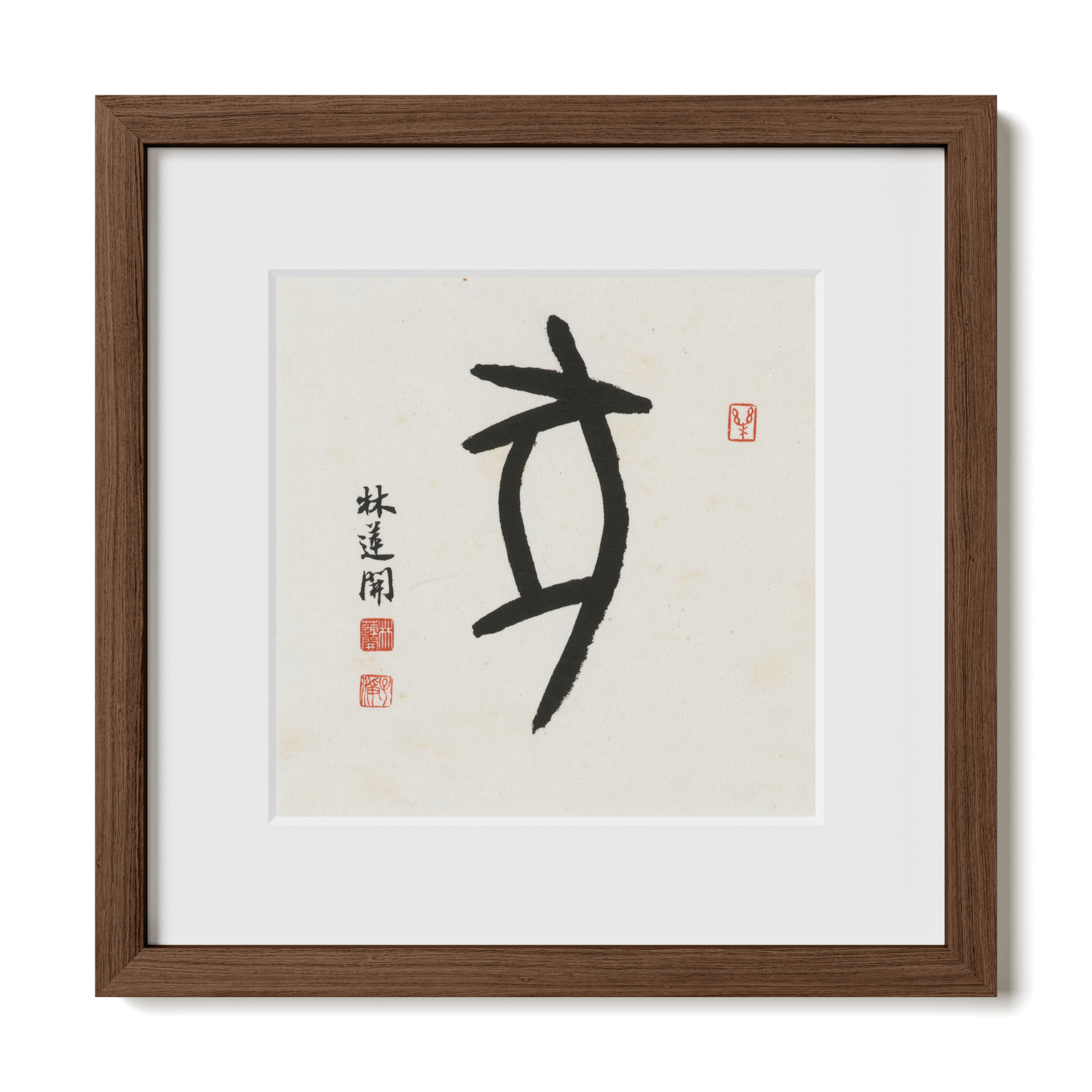 Thumbnail Label: 12X12" Walnut Premium Oak | Gallery Source: Transparent