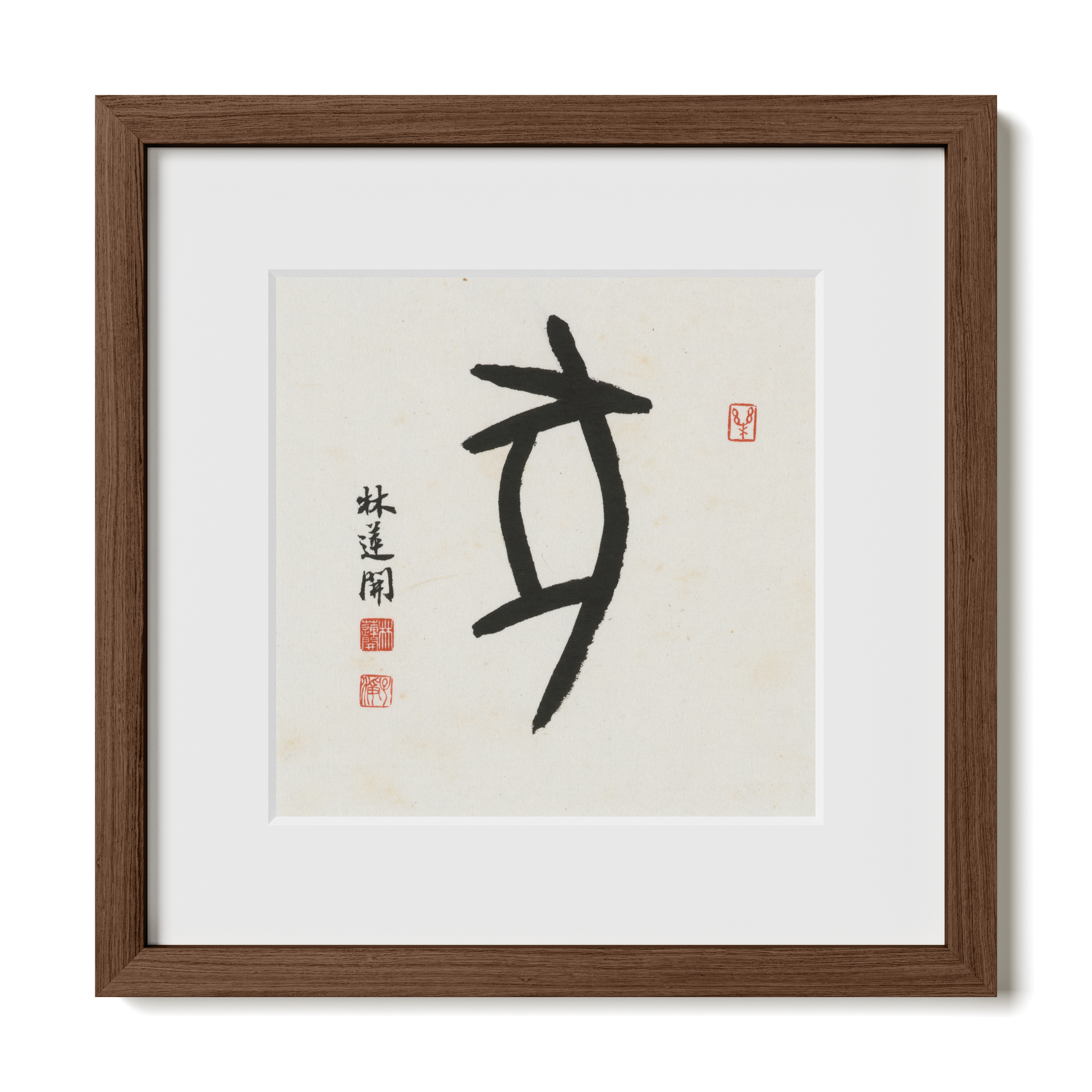 Thumbnail Label: 12X12" Walnut Premium Oak | Gallery Source: Transparent