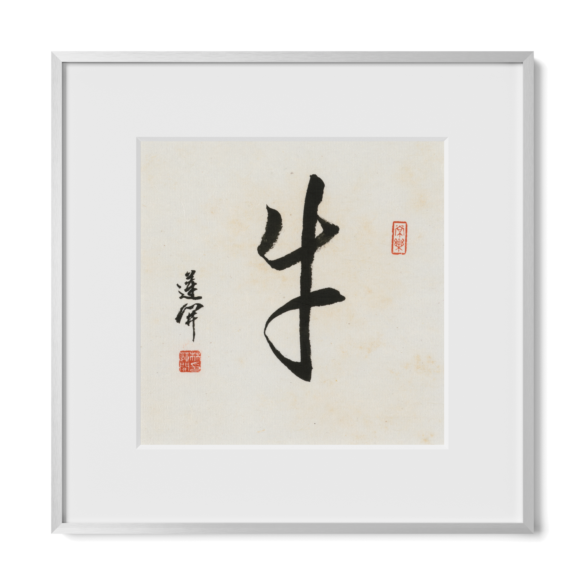 Thumbnail Label: 12X12" Silver Premium Metal | Gallery Source: Transparent