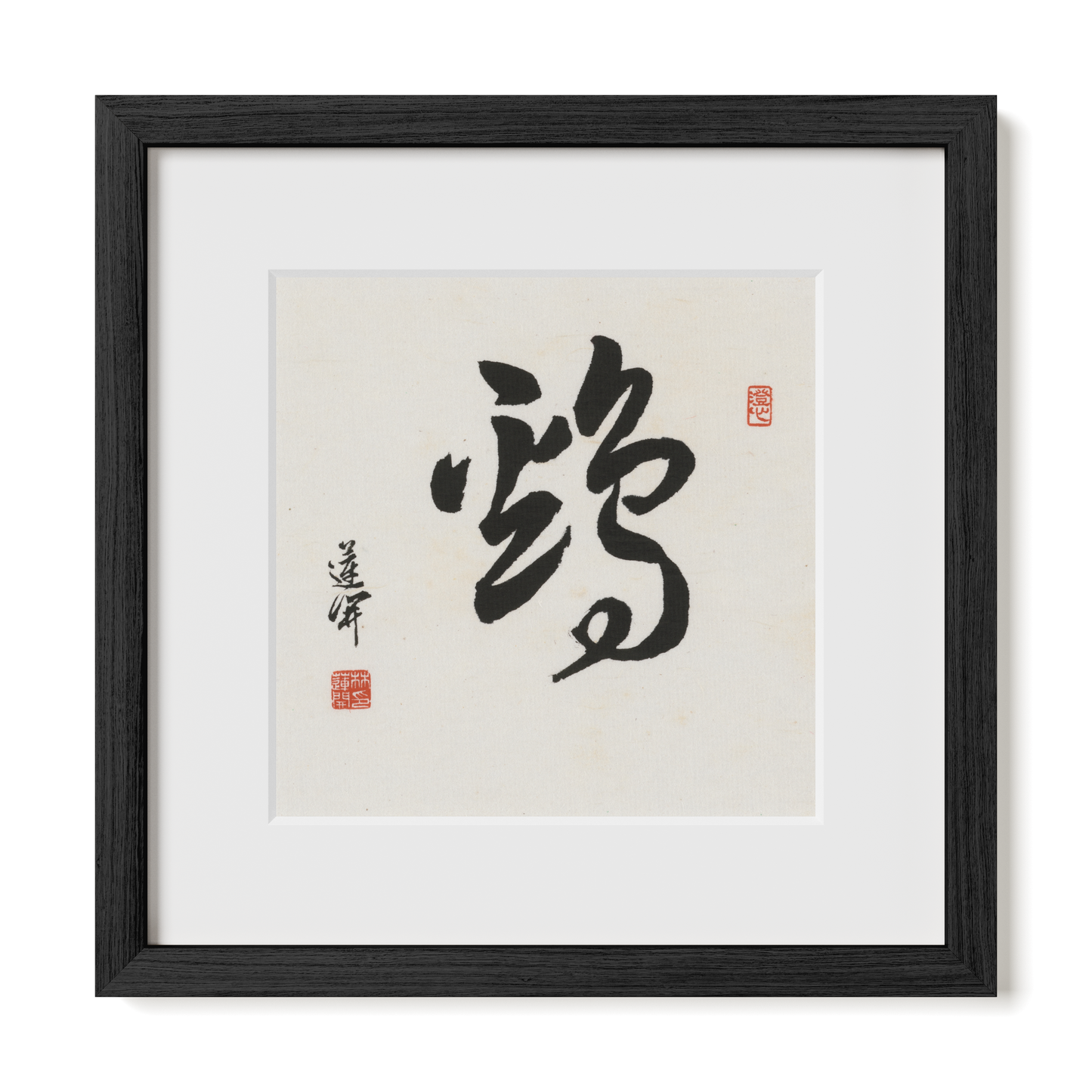 Thumbnail Label: 12X12" Black Premium Oak | Gallery Source: Transparent