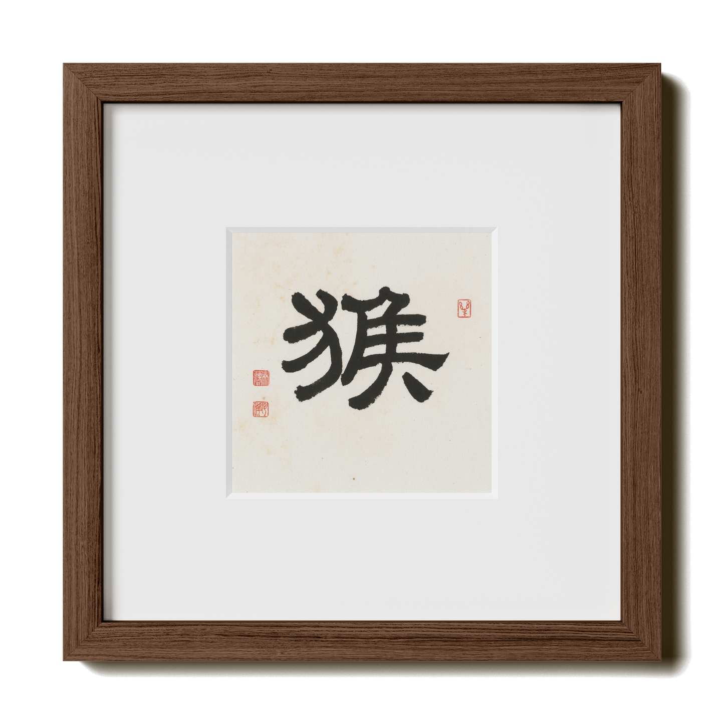 Thumbnail Label: 10X10" Walnut Premium Oak | Gallery Source: Transparent