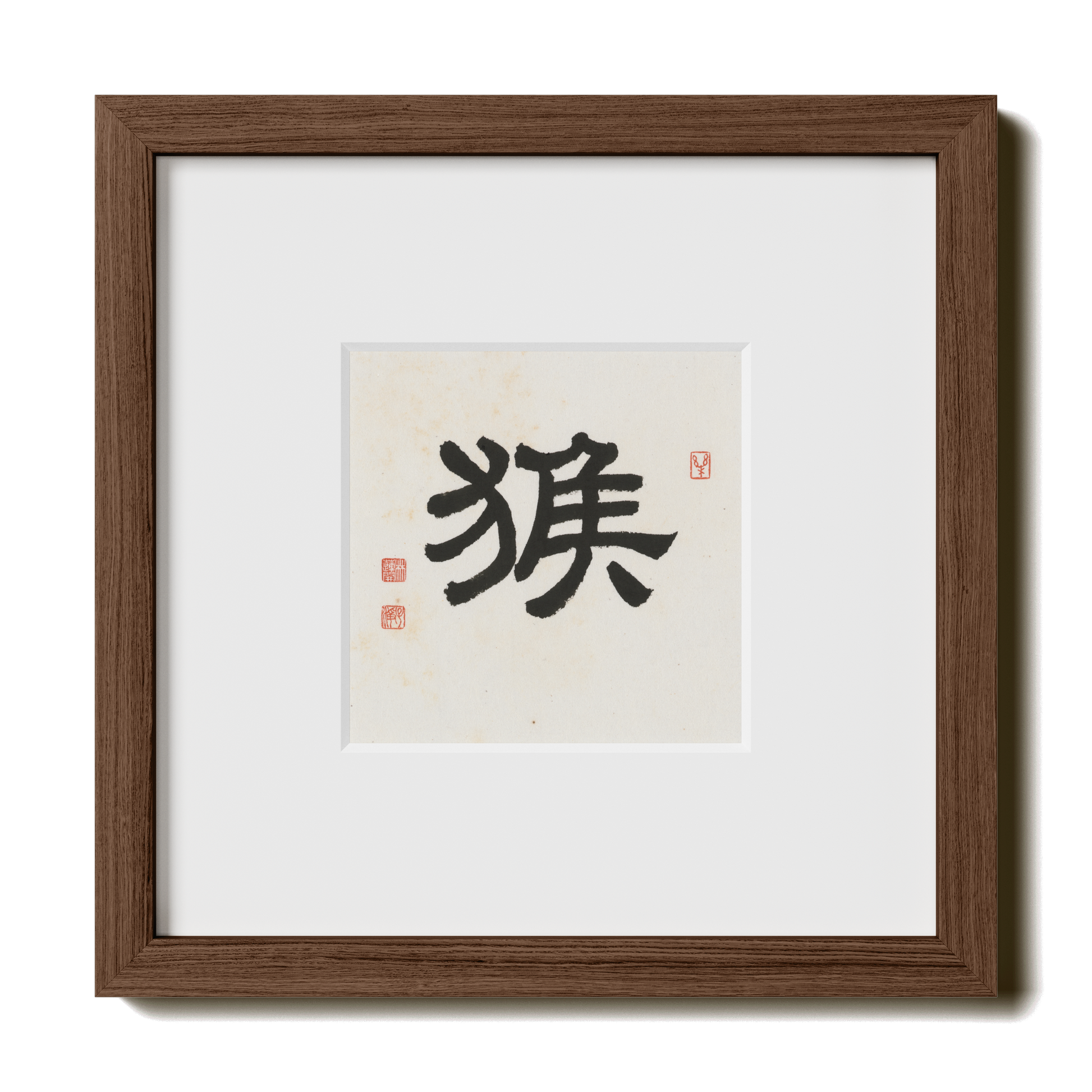 Thumbnail Label: 10X10" Walnut Premium Oak | Gallery Source: Transparent