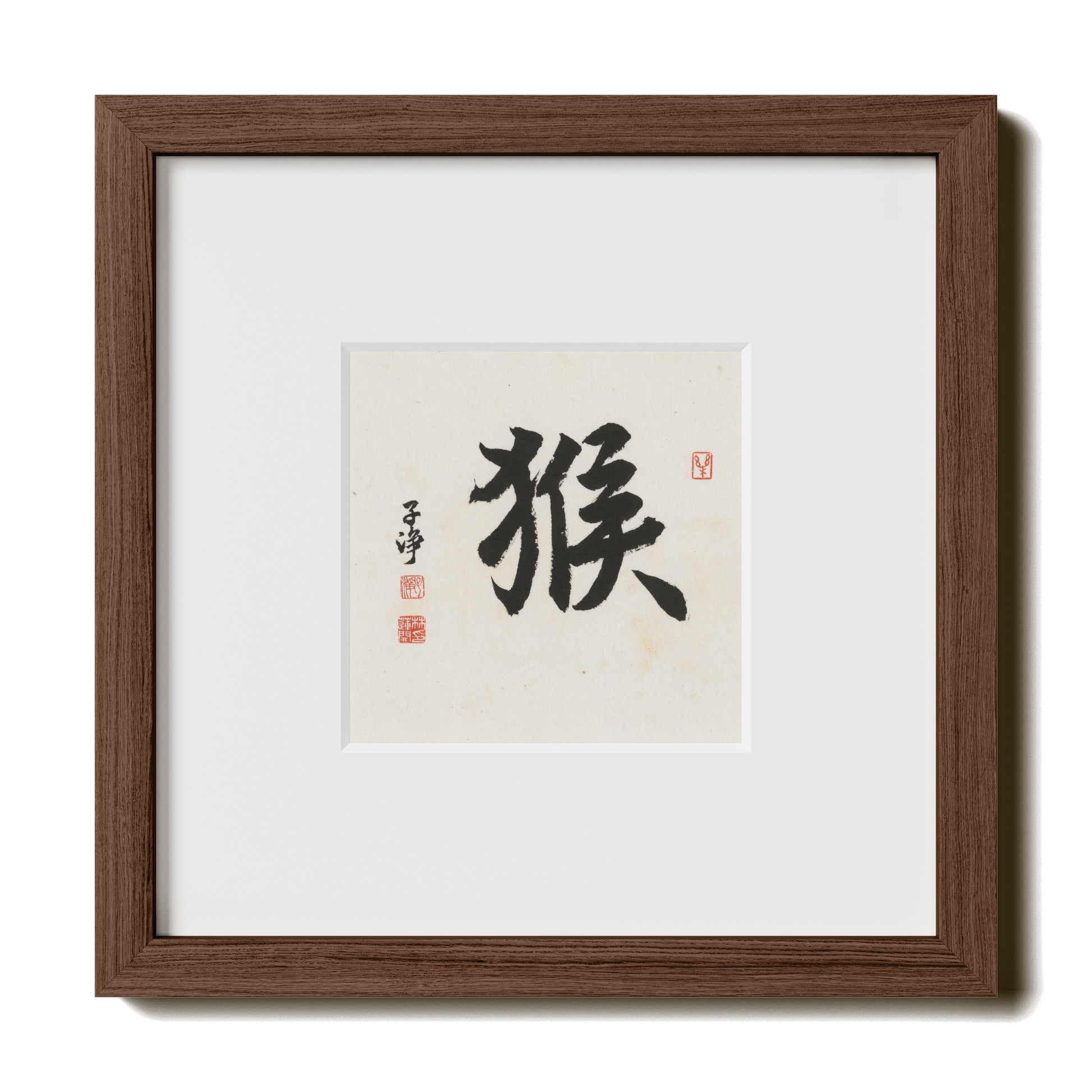 Thumbnail Label: 10X10" Walnut Premium Oak | Gallery Source: Transparent