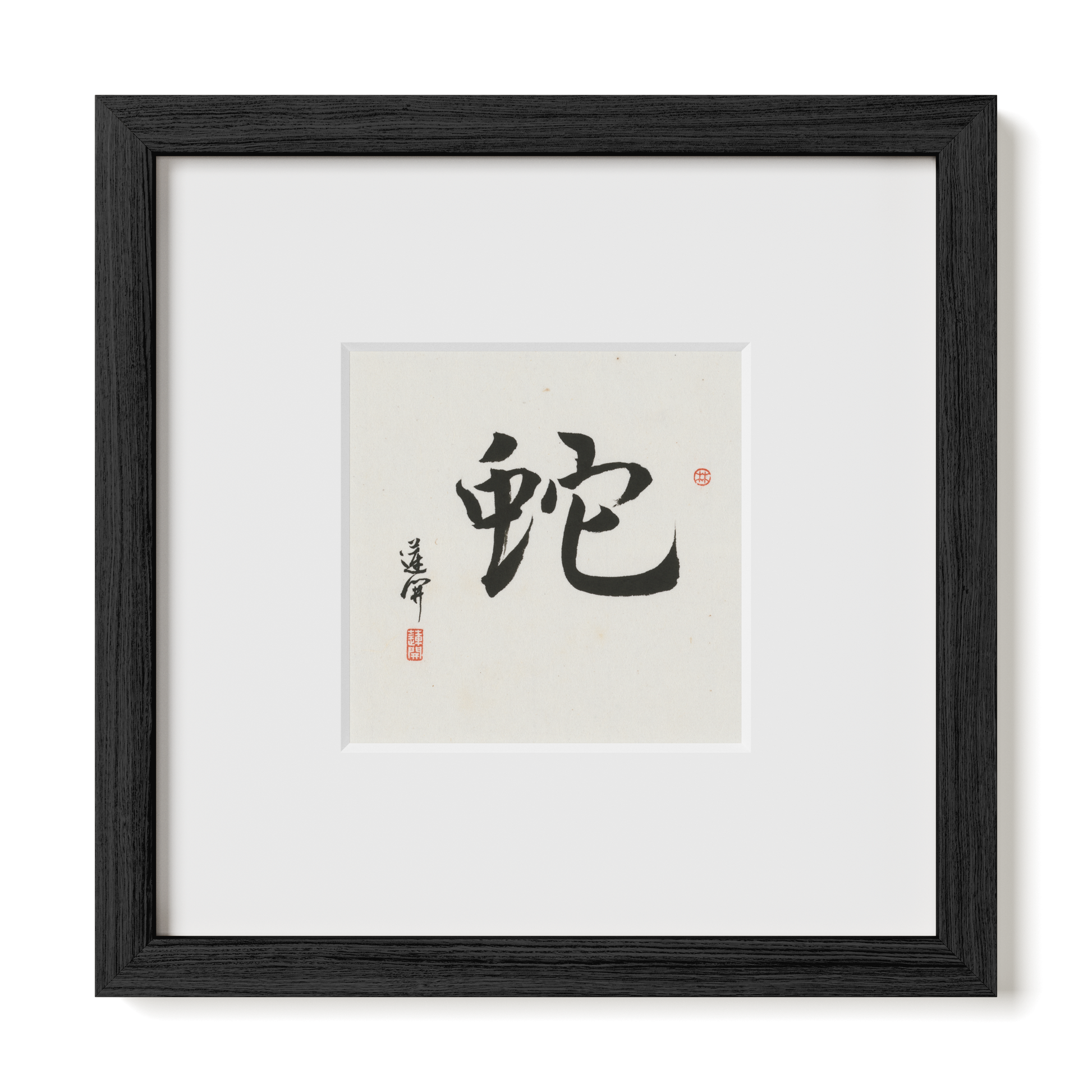 Thumbnail Label: 10X10" Black Premium Oak | Gallery Source: Transparent
