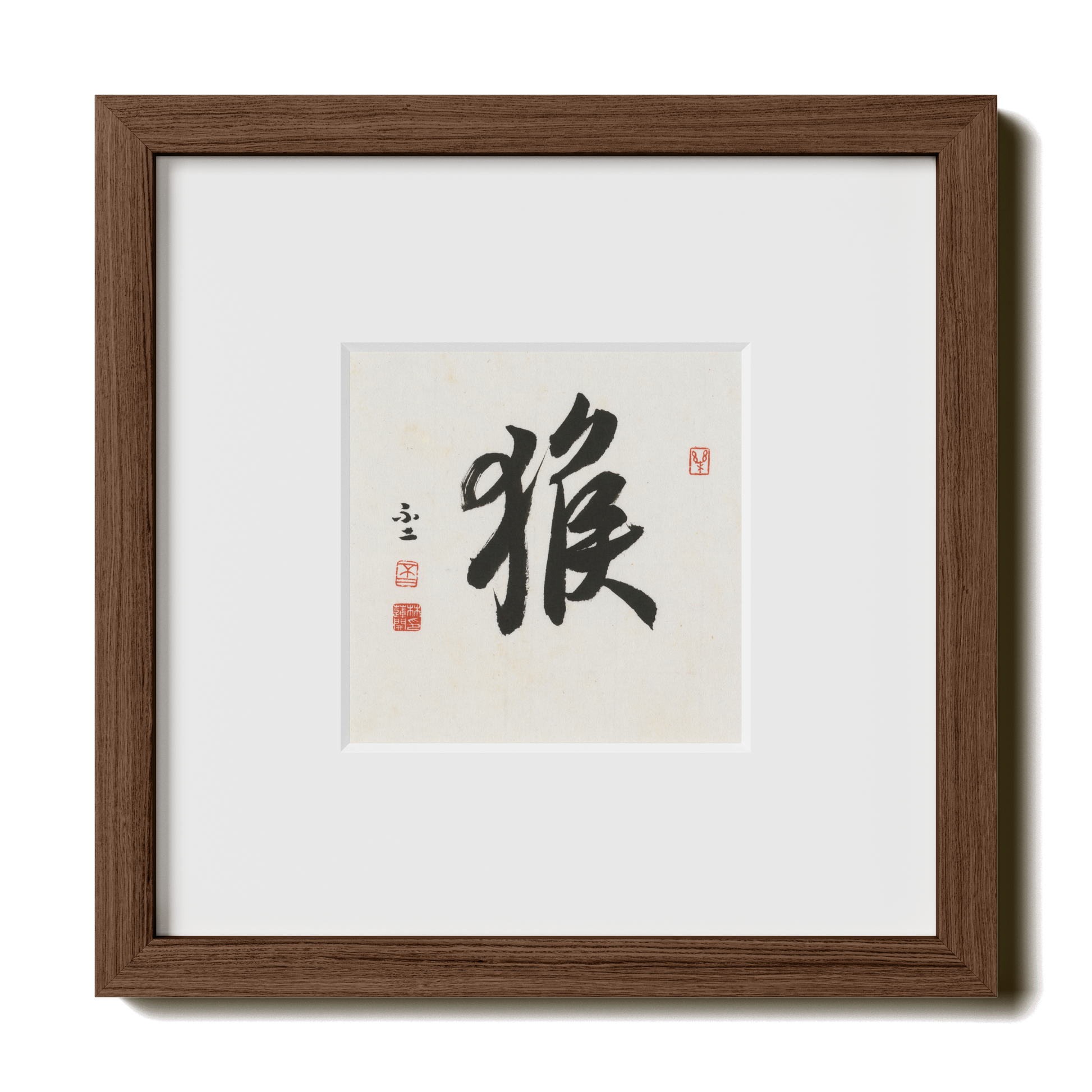 Thumbnail Label: 10X10" Walnut Premium Oak | Gallery Source: Transparent