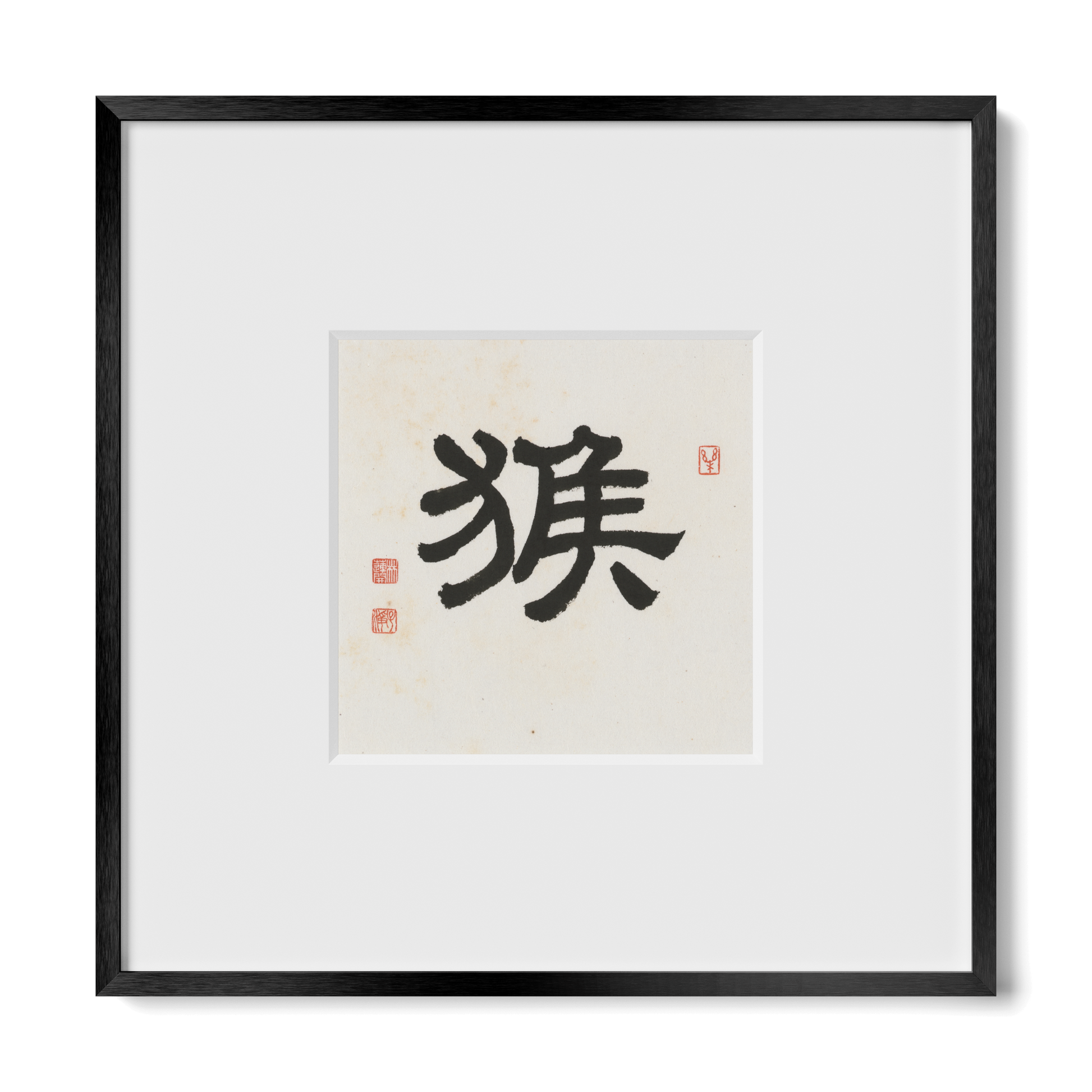 Thumbnail Label: 10X10" Black Premium Metal | Gallery Source: Transparent