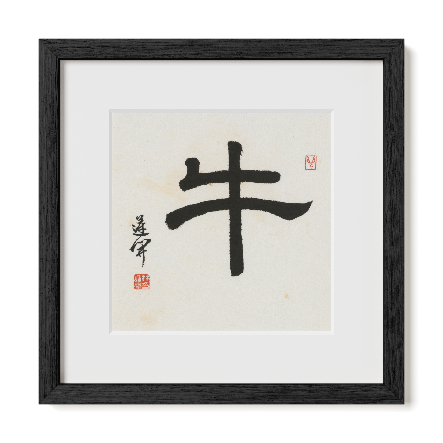 Thumbnail Label: 12X12" Black Premium Oak | Gallery Source: Transparent