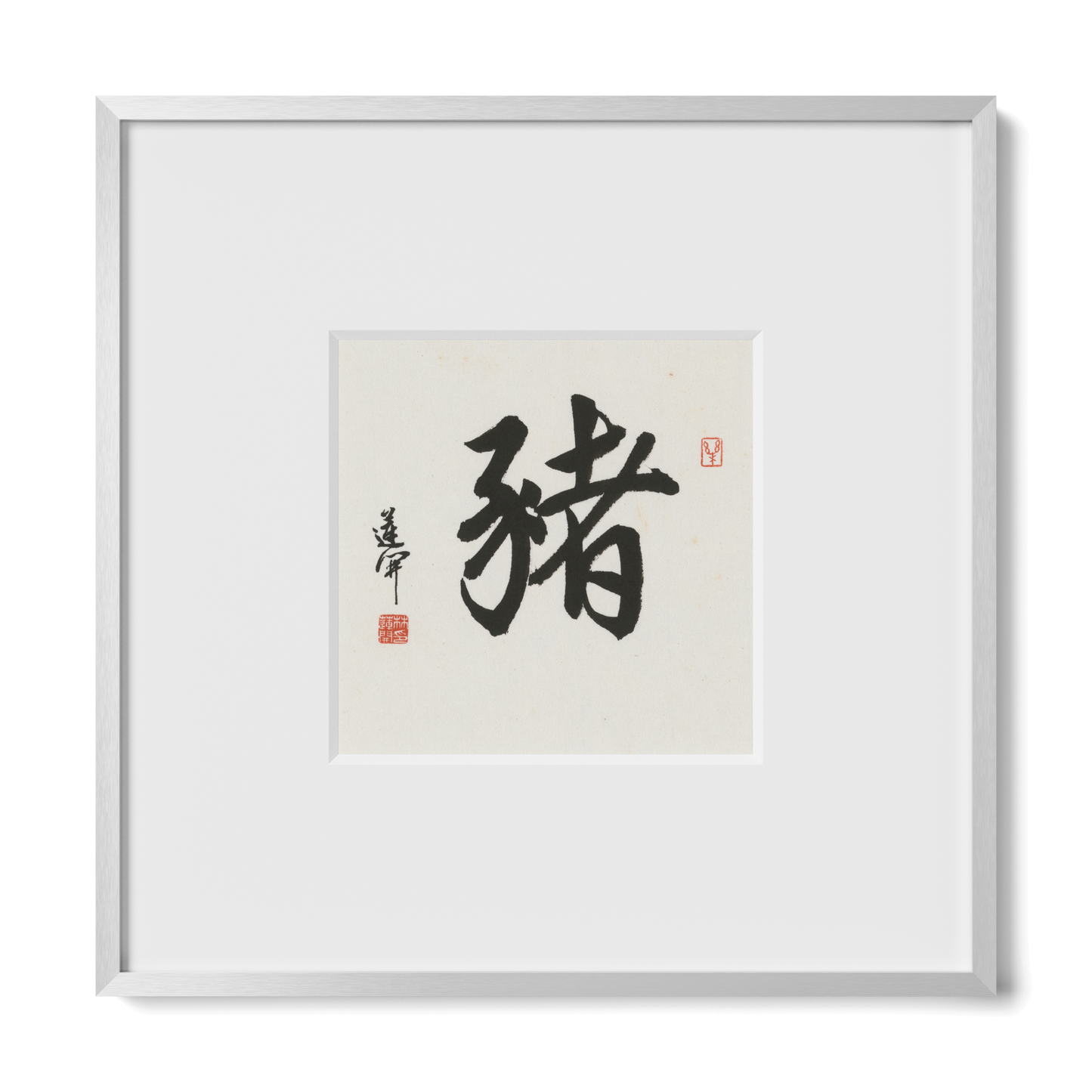 Thumbnail Label: 10X10" Silver Premium Metal | Gallery Source: Transparent