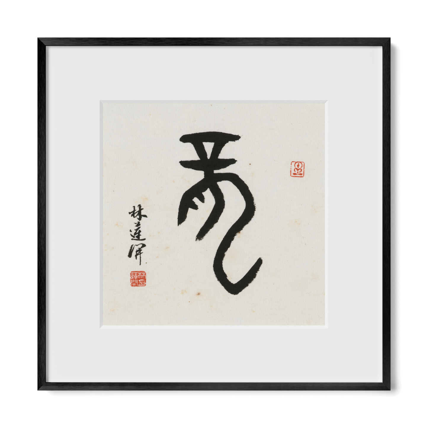 Thumbnail Label: 12X12" Black Premium Metal | Gallery Source: Transparent
