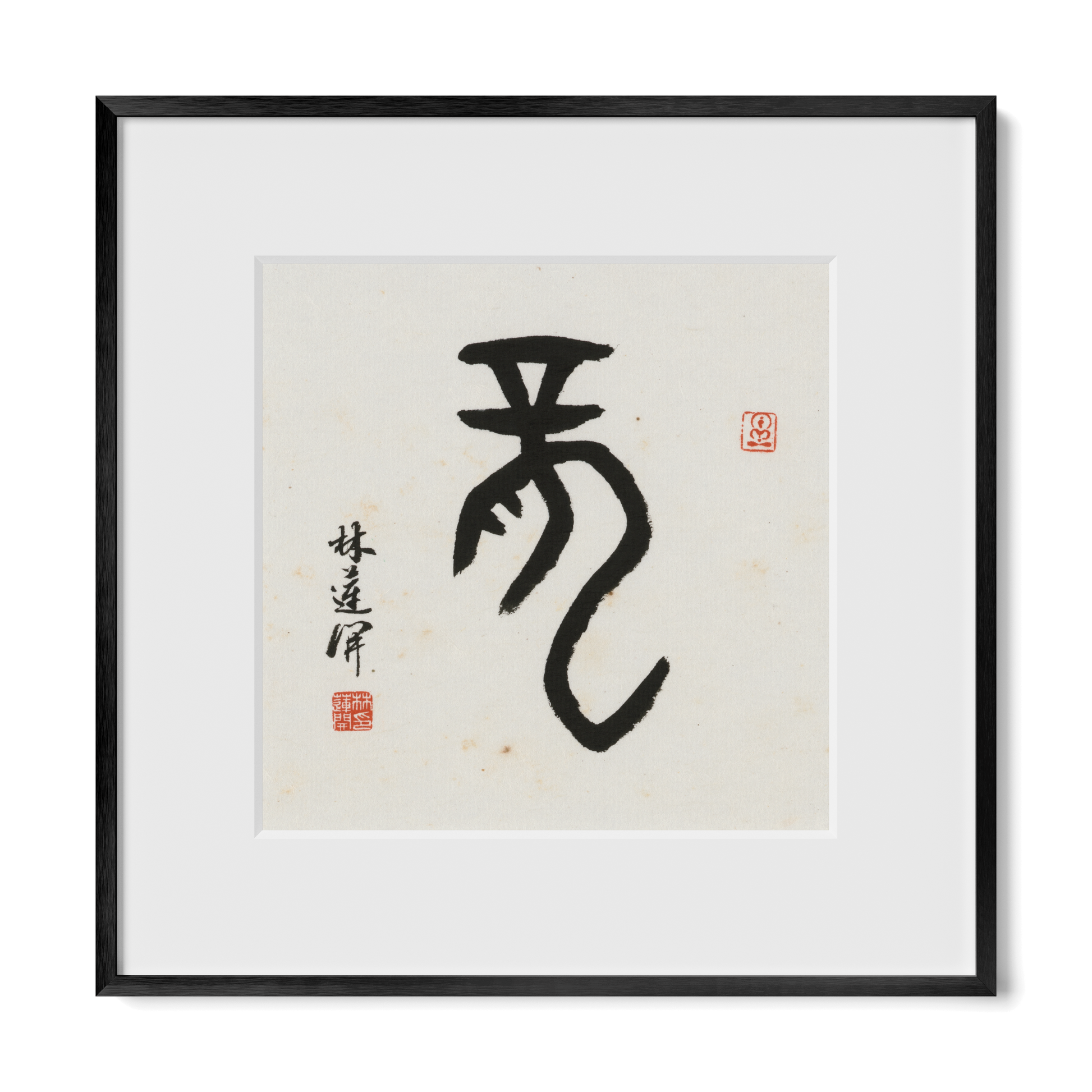 Thumbnail Label: 12X12" Black Premium Metal | Gallery Source: Transparent