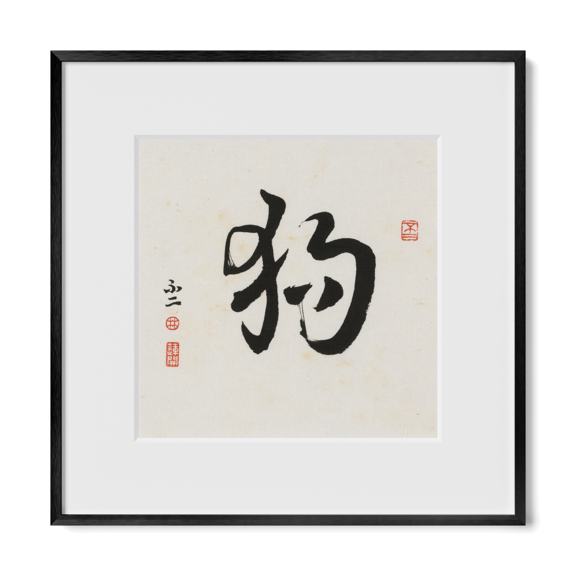 Thumbnail Label: 12X12" Black Premium Metal | Gallery Source: Transparent