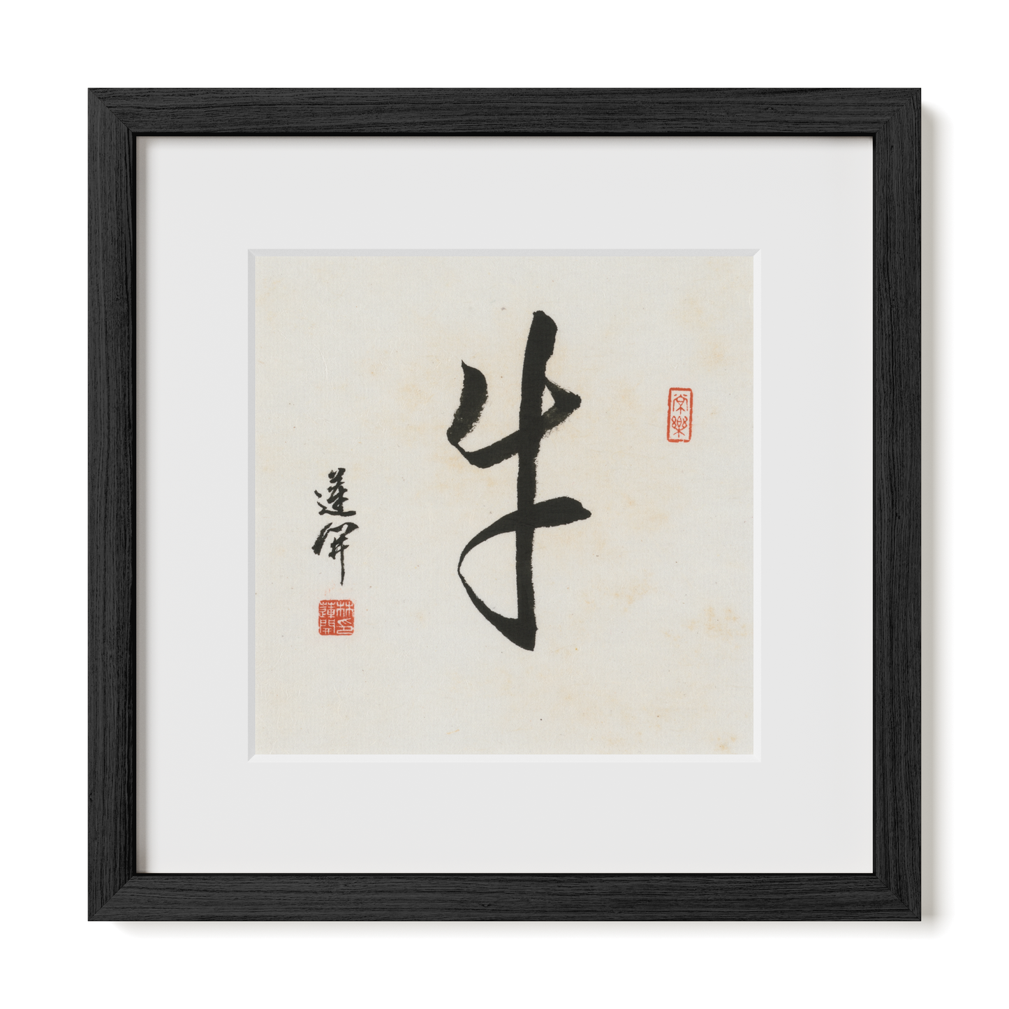 Thumbnail Label: 12X12" Black Premium Oak | Gallery Source: Transparent