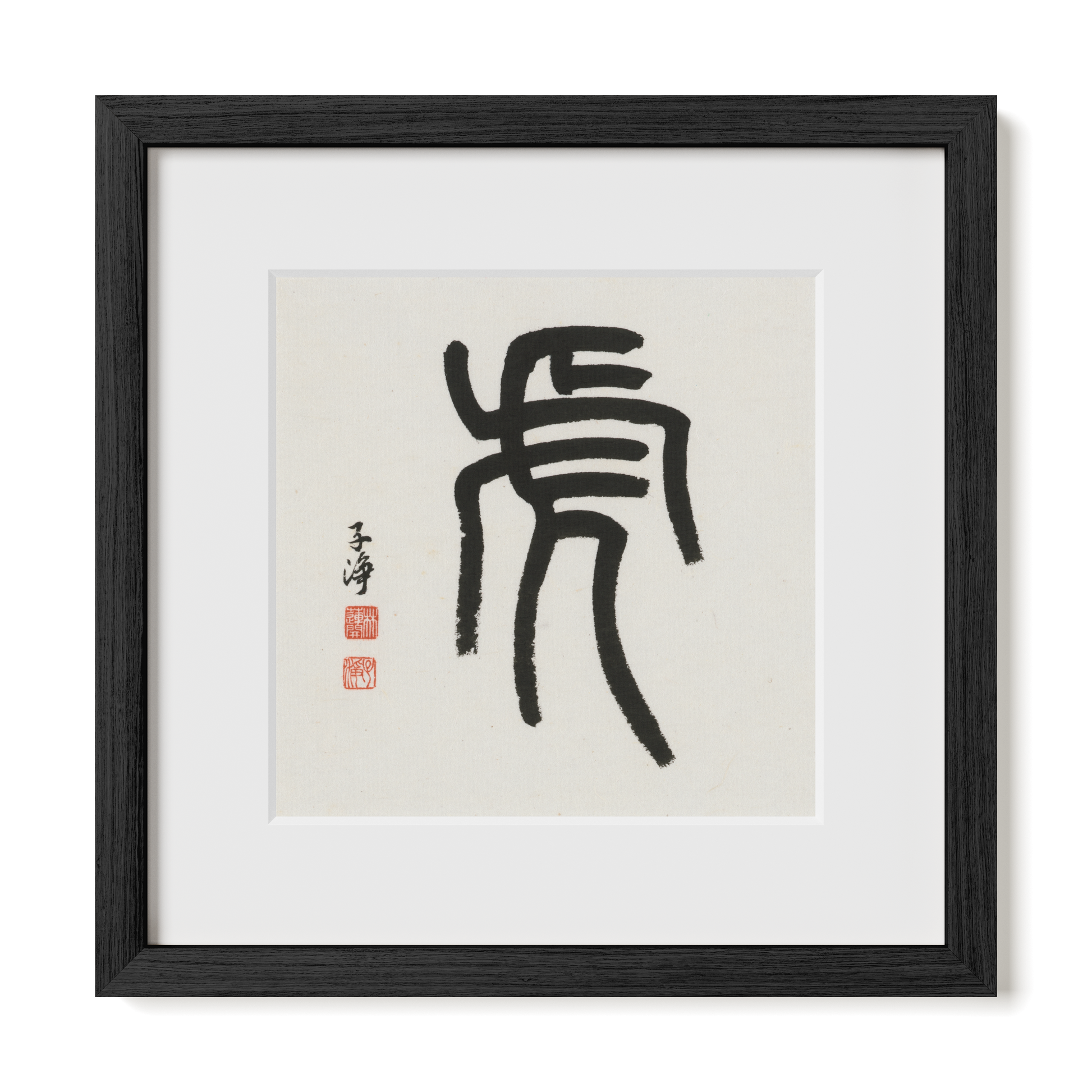 Thumbnail Label: 12X12" Black Premium Oak | Gallery Source: Transparent