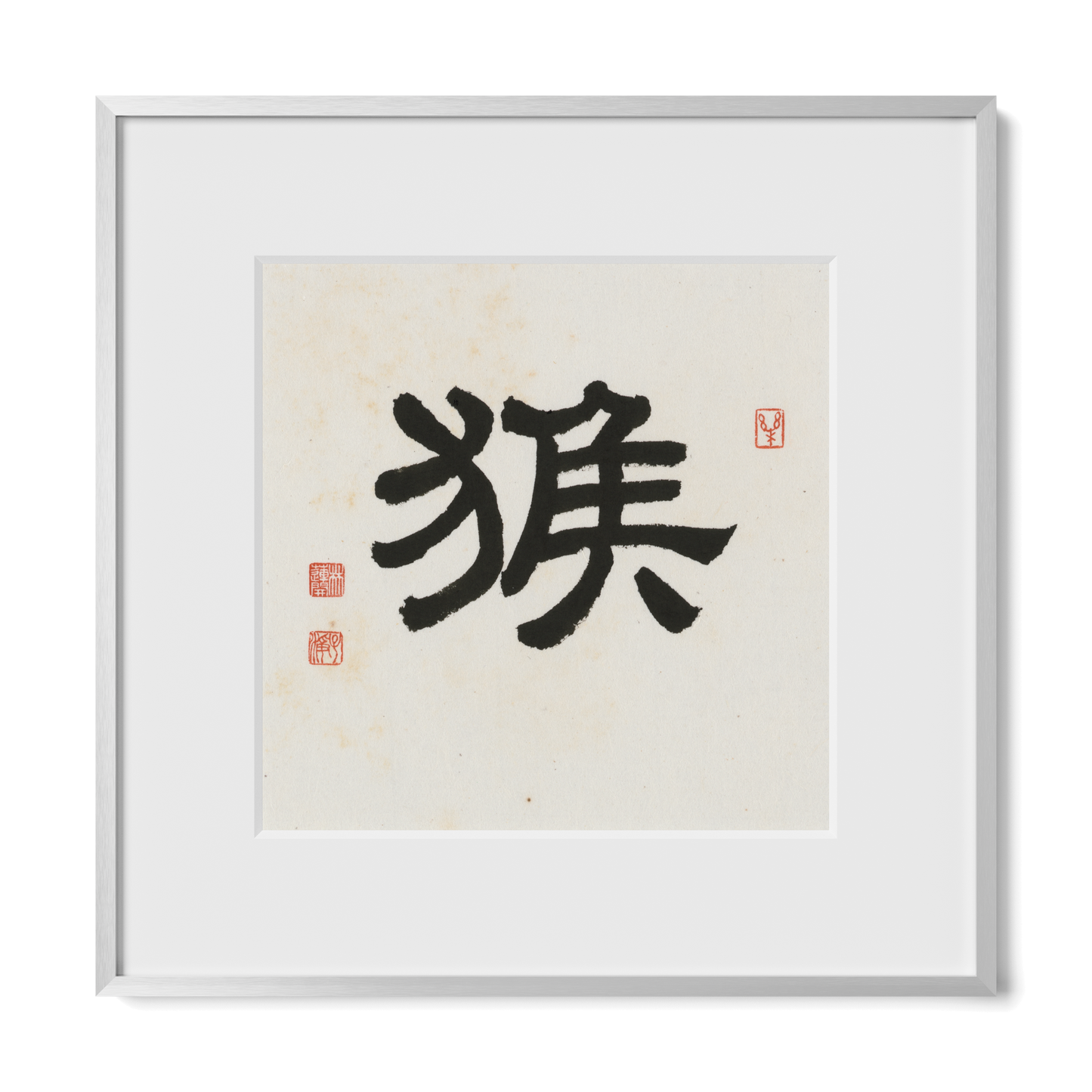 Thumbnail Label: 12X12" Silver Premium Metal | Gallery Source: Transparent