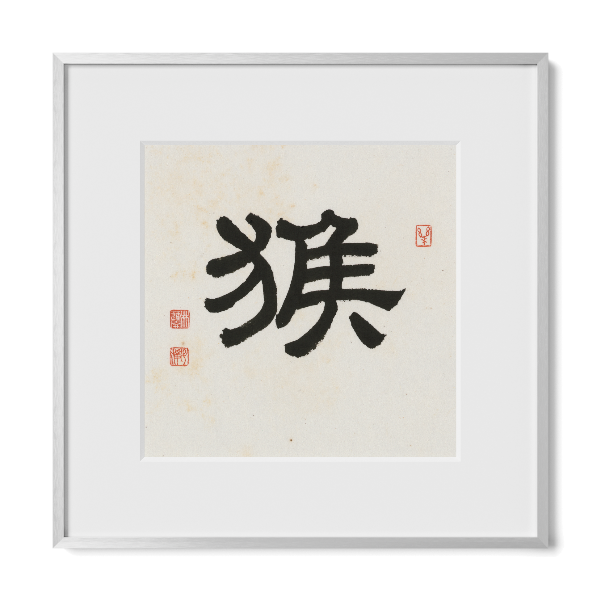 Thumbnail Label: 12X12" Silver Premium Metal | Gallery Source: Transparent