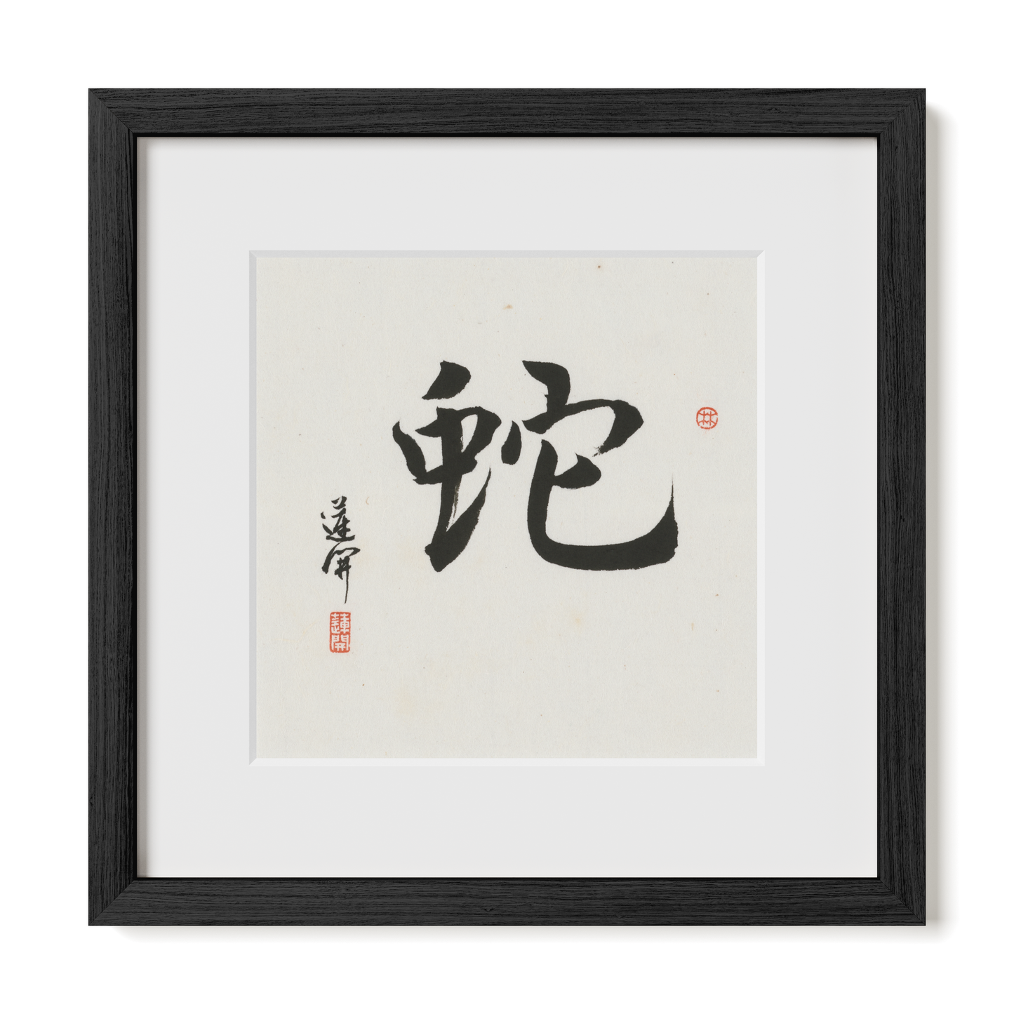 Thumbnail Label: 12X12" Black Premium Oak | Gallery Source: Transparent