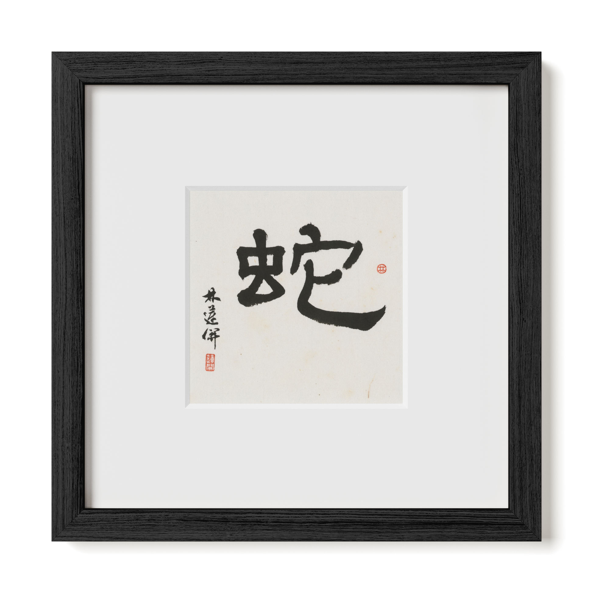 Thumbnail Label: 10X10" Black Premium Oak | Gallery Source: Transparent