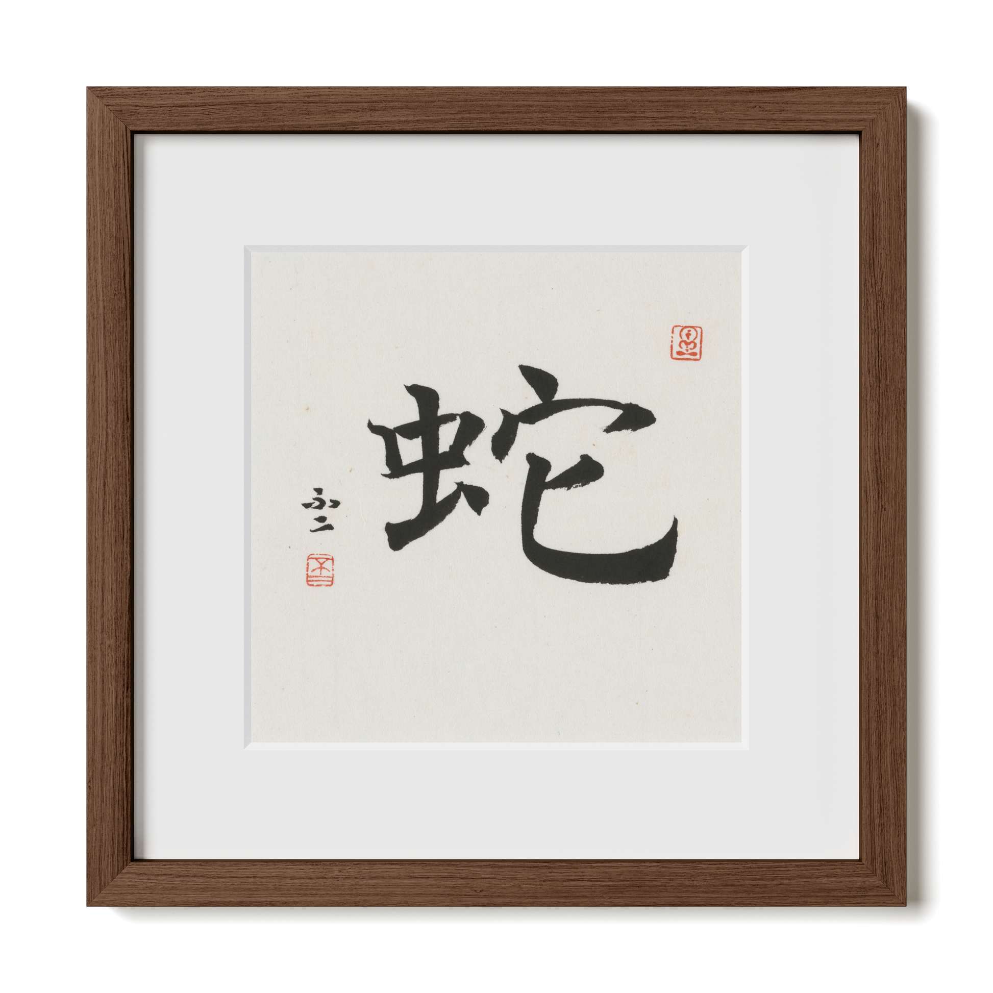 Thumbnail Label: 12X12" Walnut Premium Oak | Gallery Source: Transparent