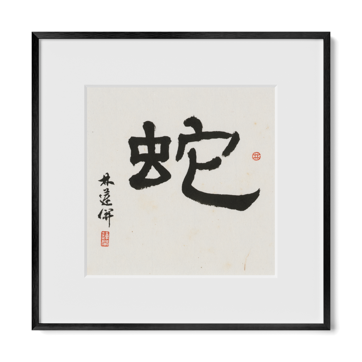 Thumbnail Label: 12X12" Black Premium Metal | Gallery Source: Transparent
