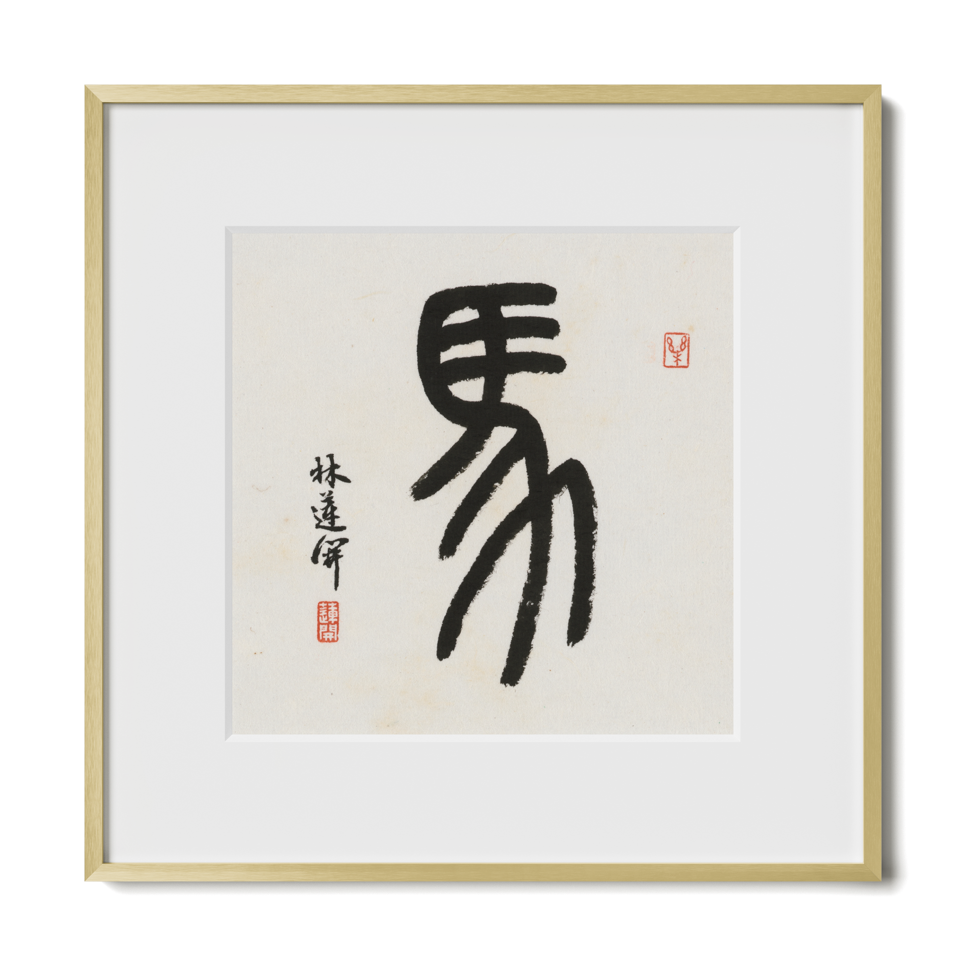 Thumbnail Label: 12X12" Gold Premium Metal | Gallery Source: Transparent
